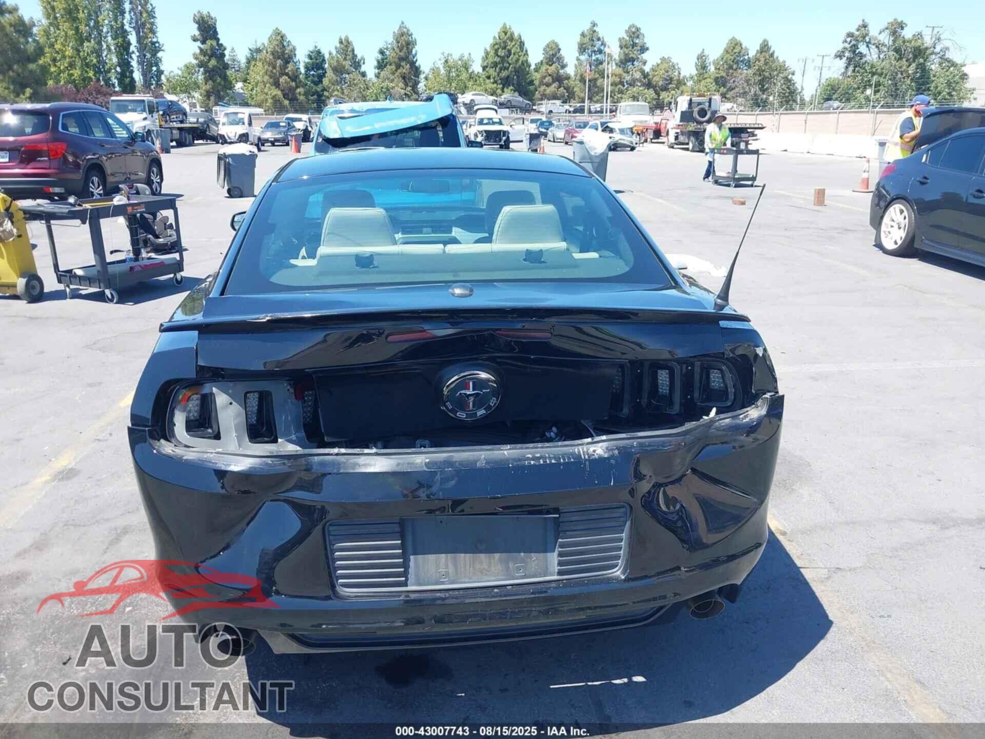 FORD MUSTANG 2014 - 1ZVBP8AM4E5206238