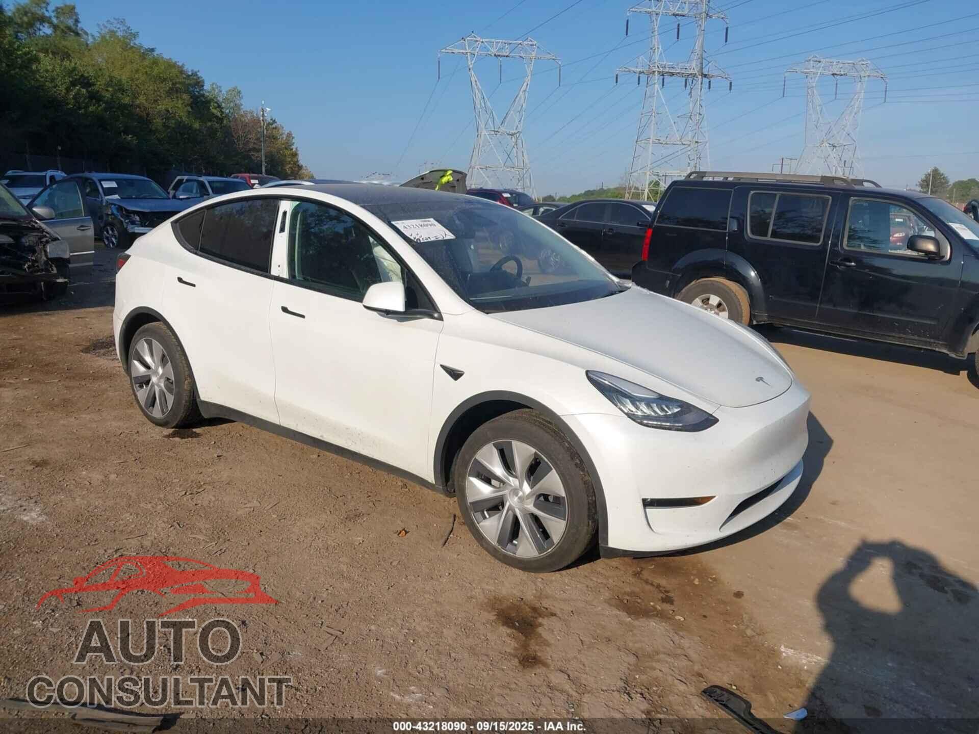 TESLA MODEL Y 2023 - 7SAYGAEEXPF589727