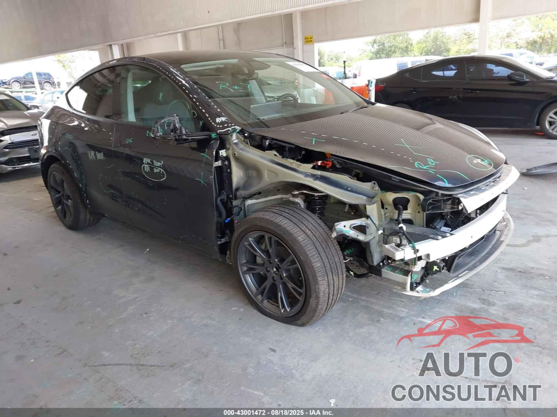 TESLA MODEL Y 2024 - 7SAYGDED3RA328402