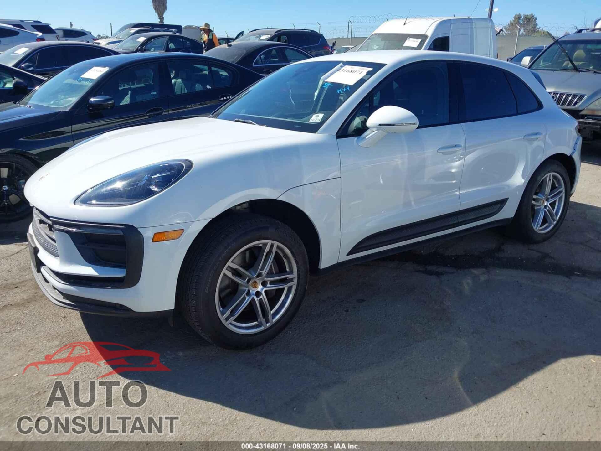 PORSCHE MACAN 2023 - WP1AA2A56PLB09934