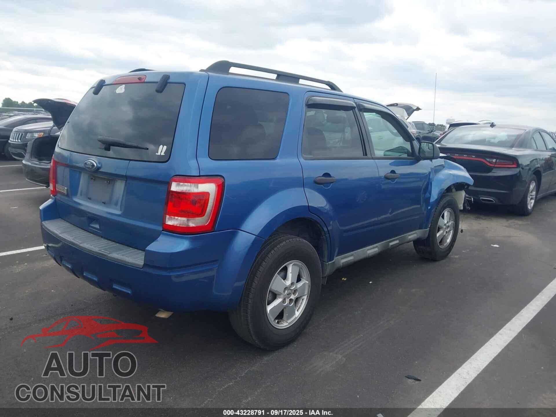FORD ESCAPE 2010 - 1FMCU0D78AKB51176