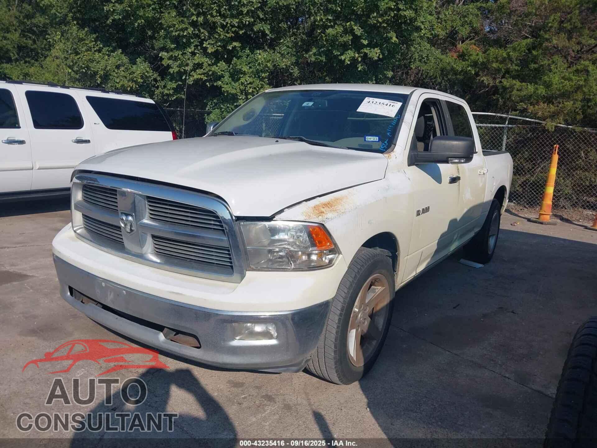 DODGE RAM 1500 2010 - 1D7RB1CT2AS250266