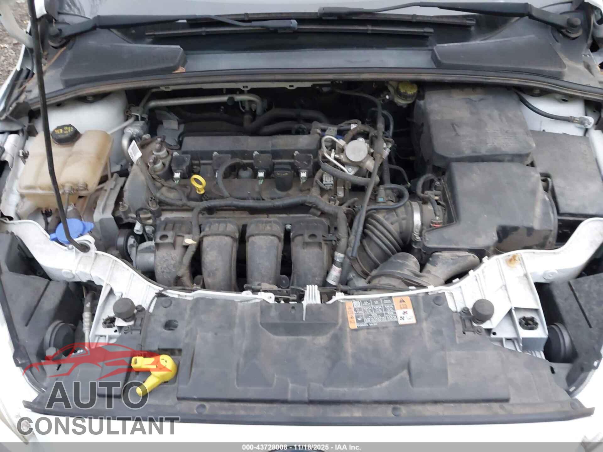 FORD FOCUS 2016 - 1FADP3E26GL329731