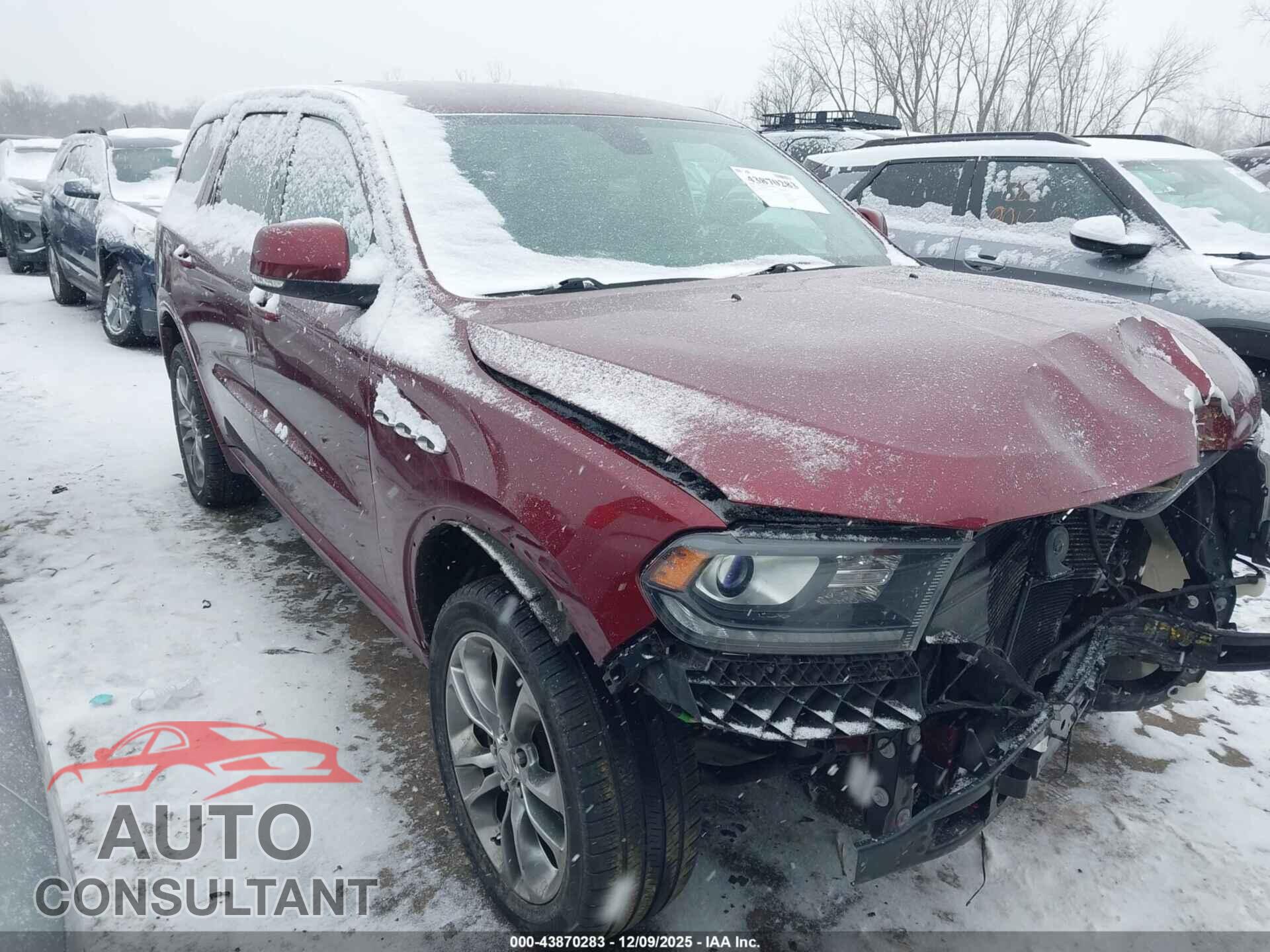 DODGE DURANGO 2019 - 1C4RDJDGXKC663781