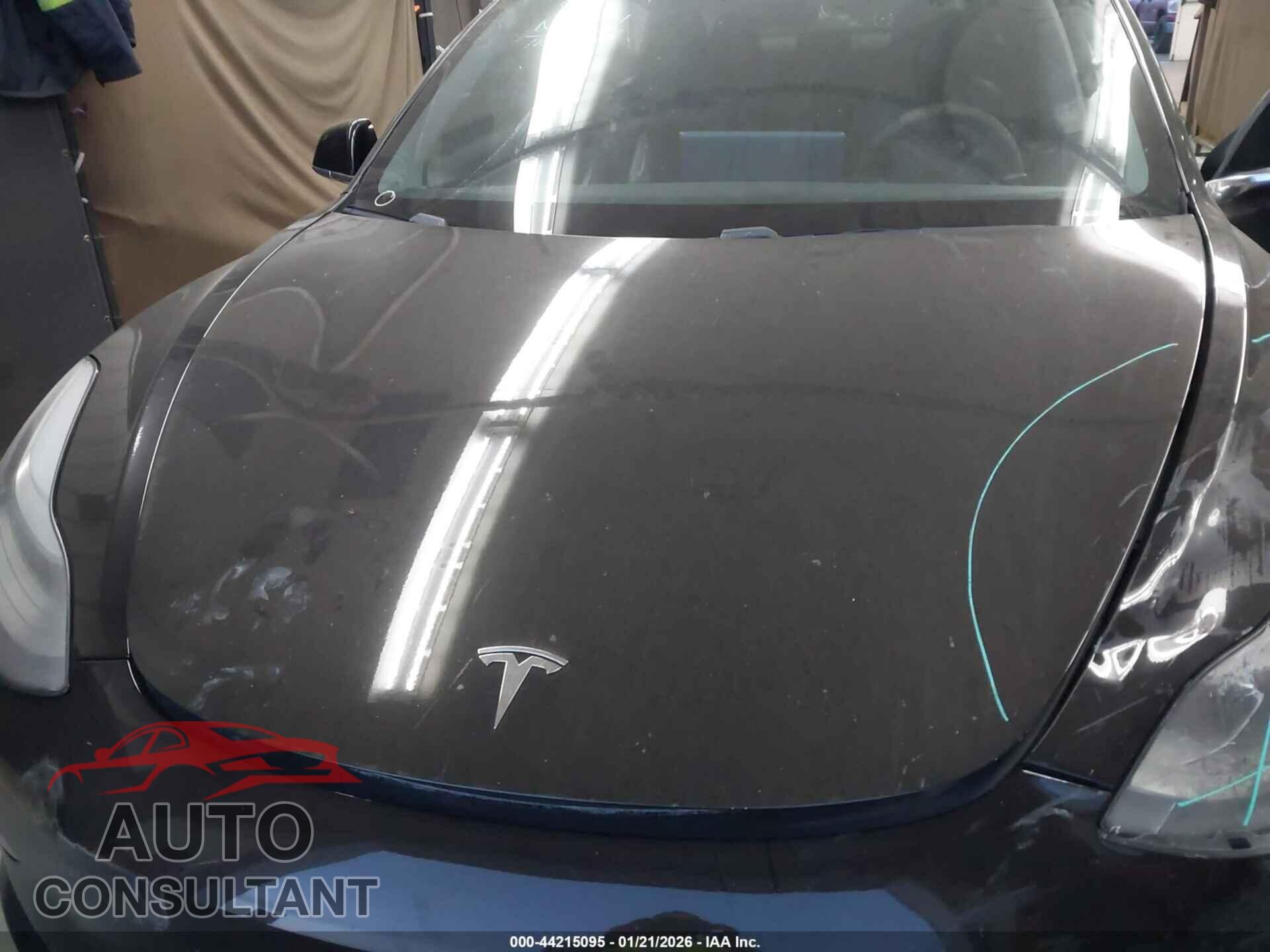 TESLA MODEL 3 2019 - 5YJ3E1EA5KF410805