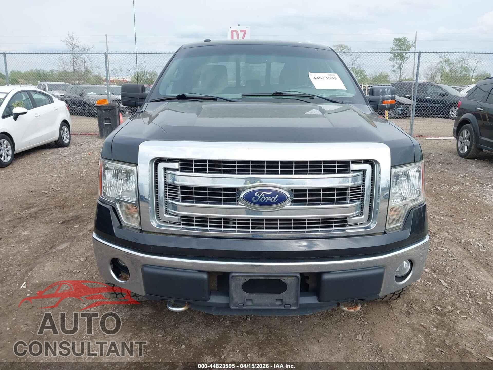FORD F-150 2013 - 1FTFX1EF1DFD24747