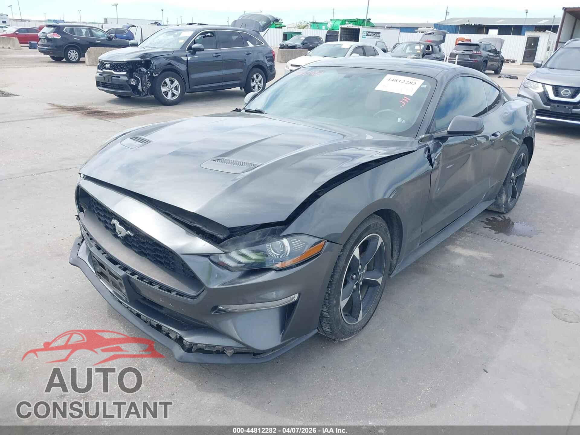 FORD MUSTANG 2019 - 1FA6P8TH3K5168202