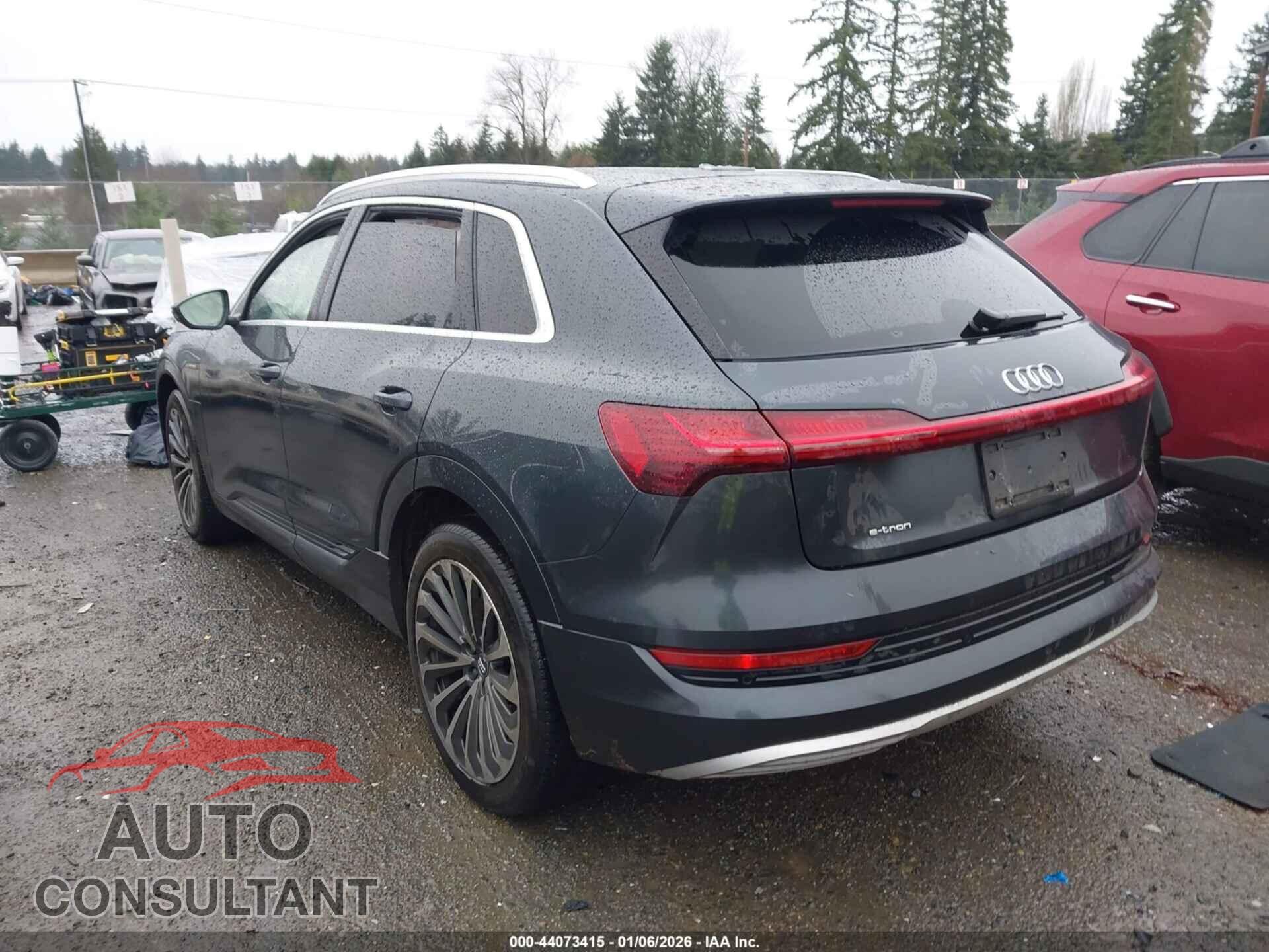 AUDI E-TRON 2019 - WA1VAAGE9KB025040