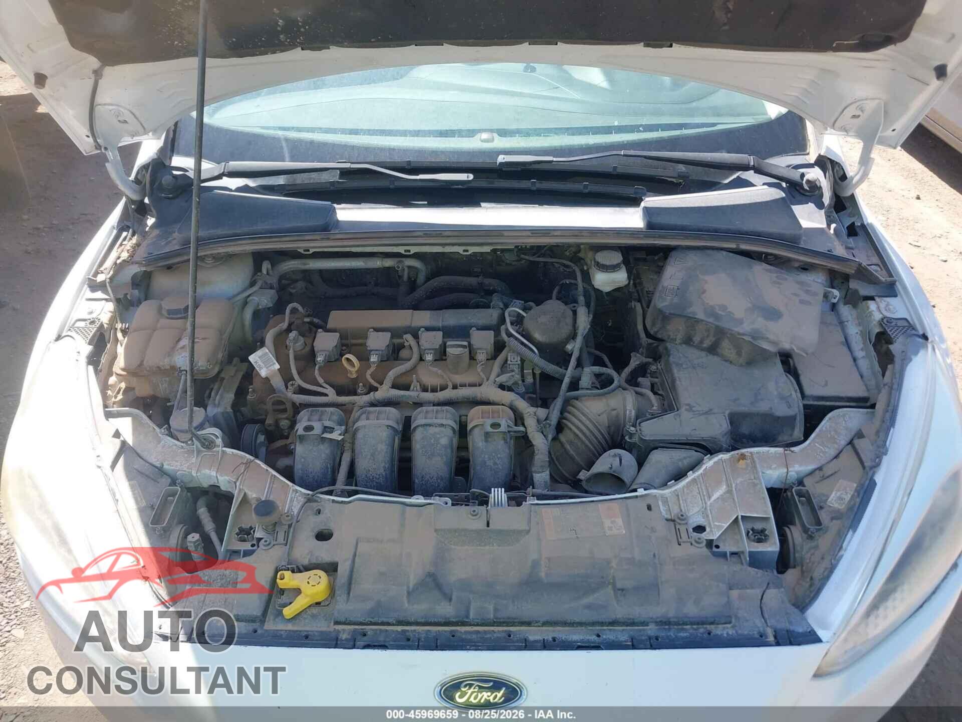 FORD FOCUS 2017 - 1FADP3F24HL314676