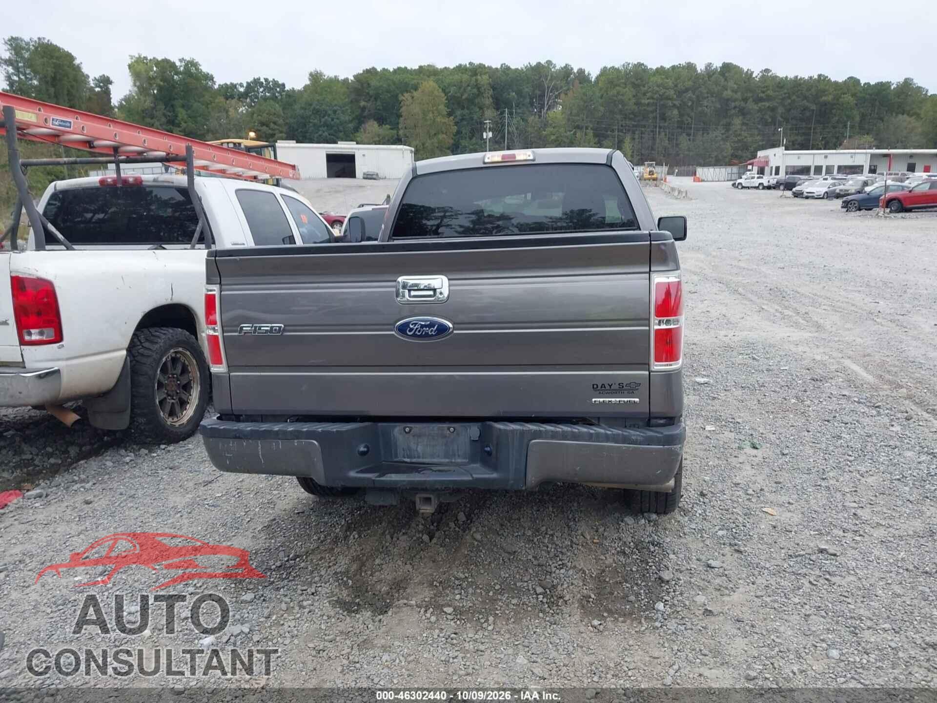 FORD F-150 2014 - 1FTFX1CF3EFA81902
