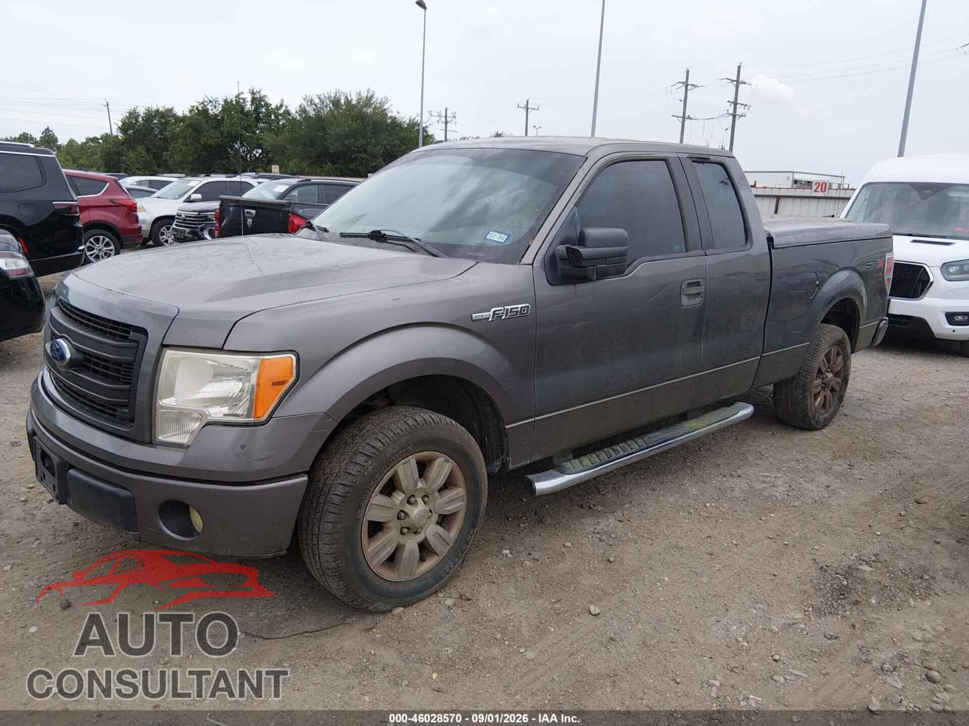 FORD F-150 2013 - 1FTFX1CFXDFC79603