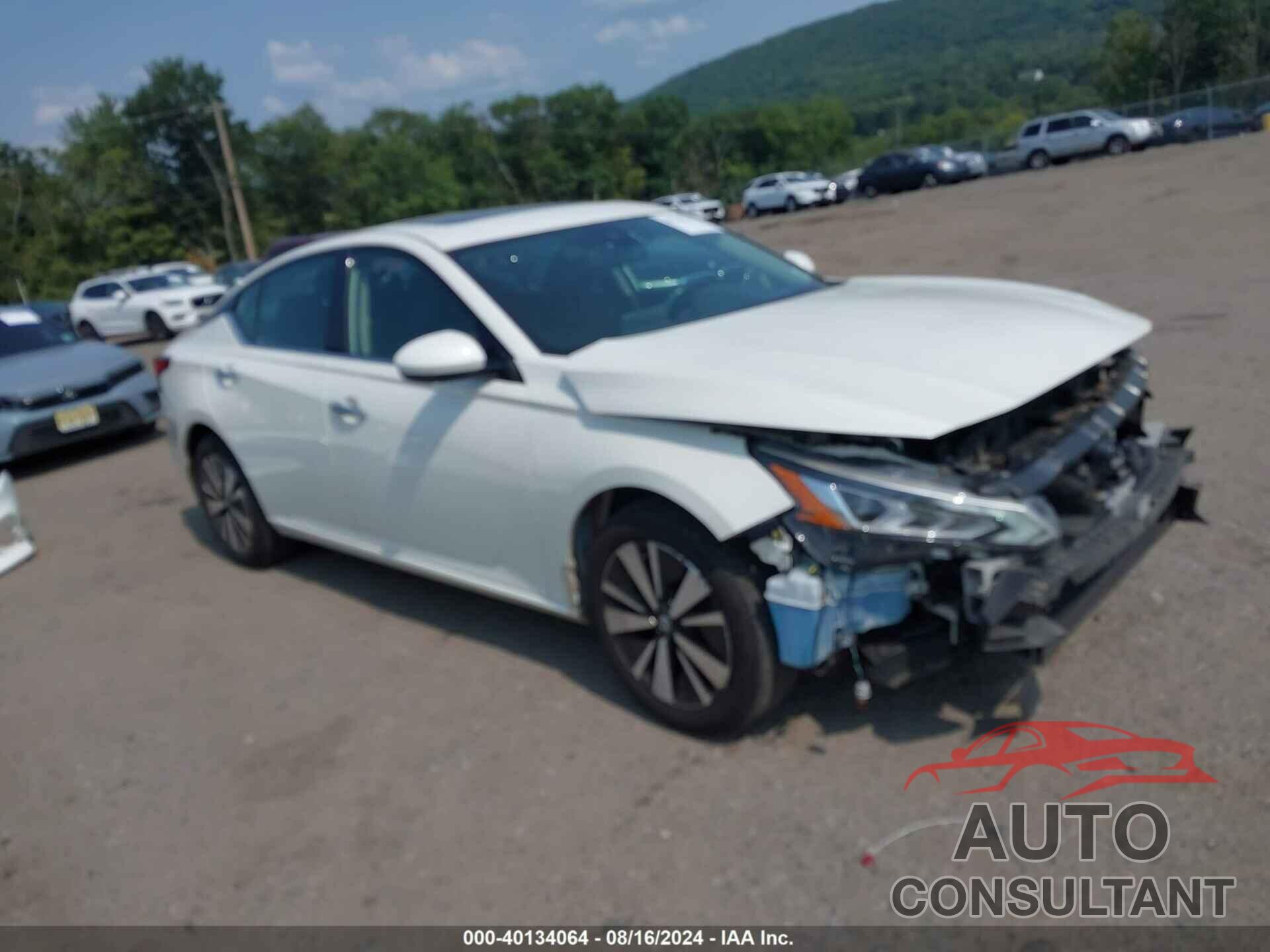 NISSAN ALTIMA 2019 - 1N4BL4DW2KC135395