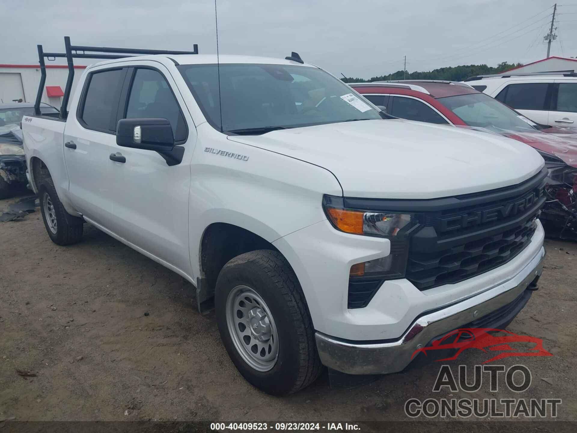 CHEVROLET SILVERADO 1500 2024 - 3GCPDAEK6RG213143