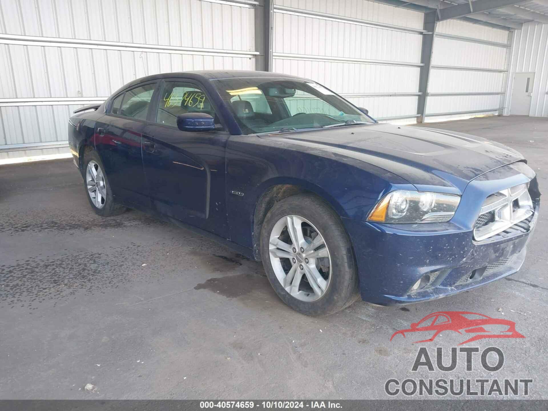 DODGE CHARGER 2014 - 2C3CDXDT0EH206117