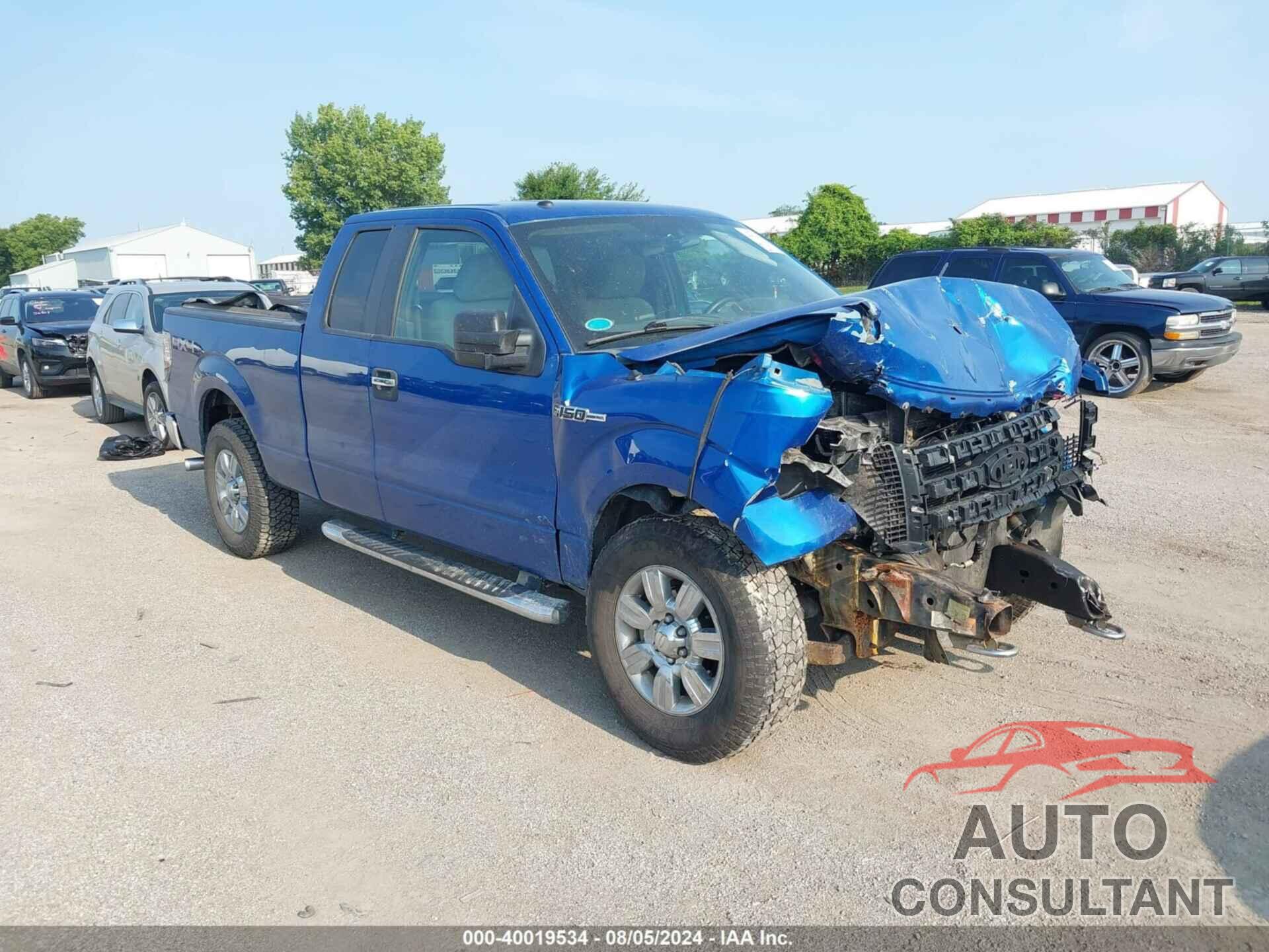 FORD F-150 2009 - 1FTPX14VX9FB09968