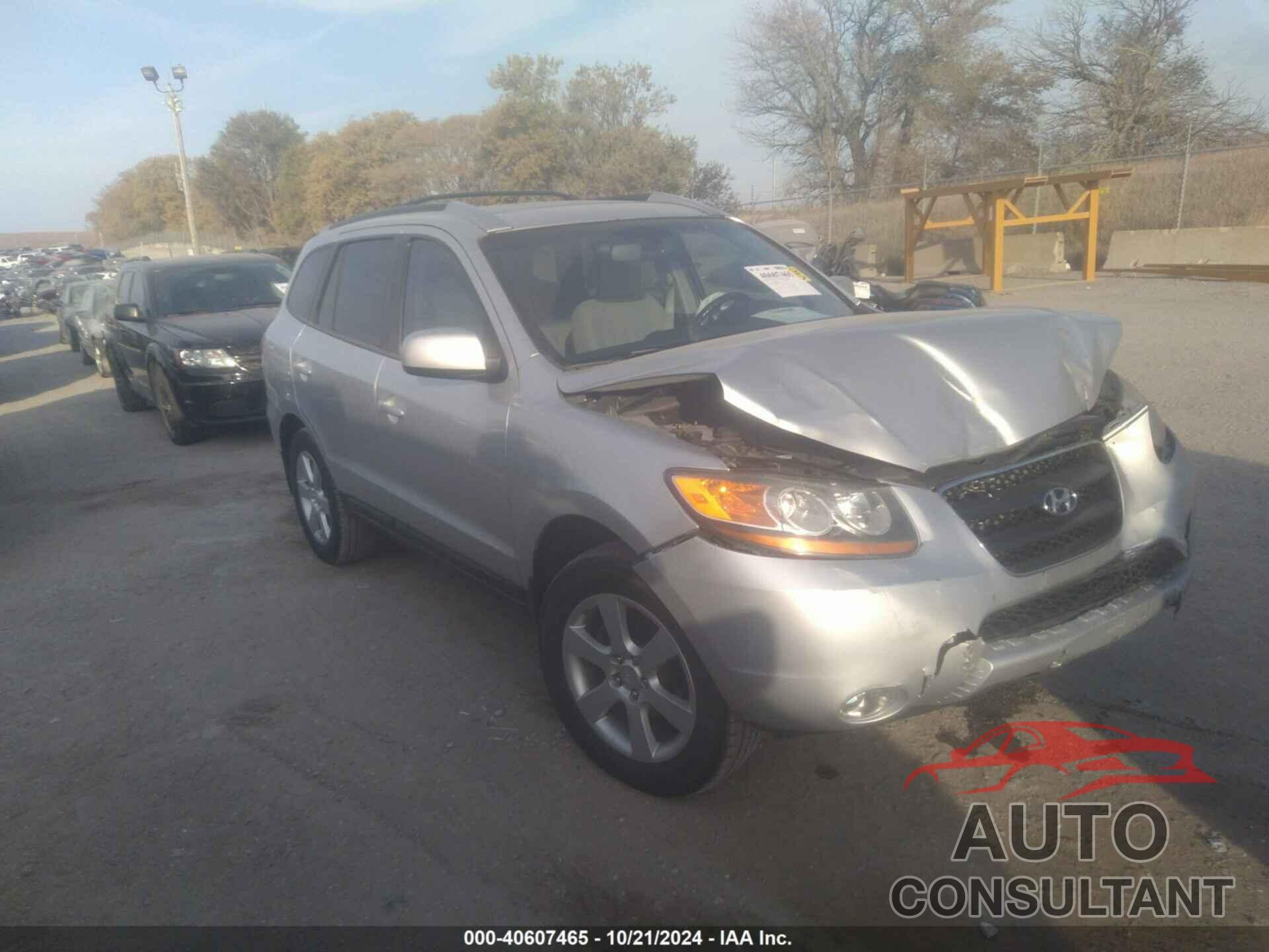 HYUNDAI SANTA FE 2009 - 5NMSH13E59H238762