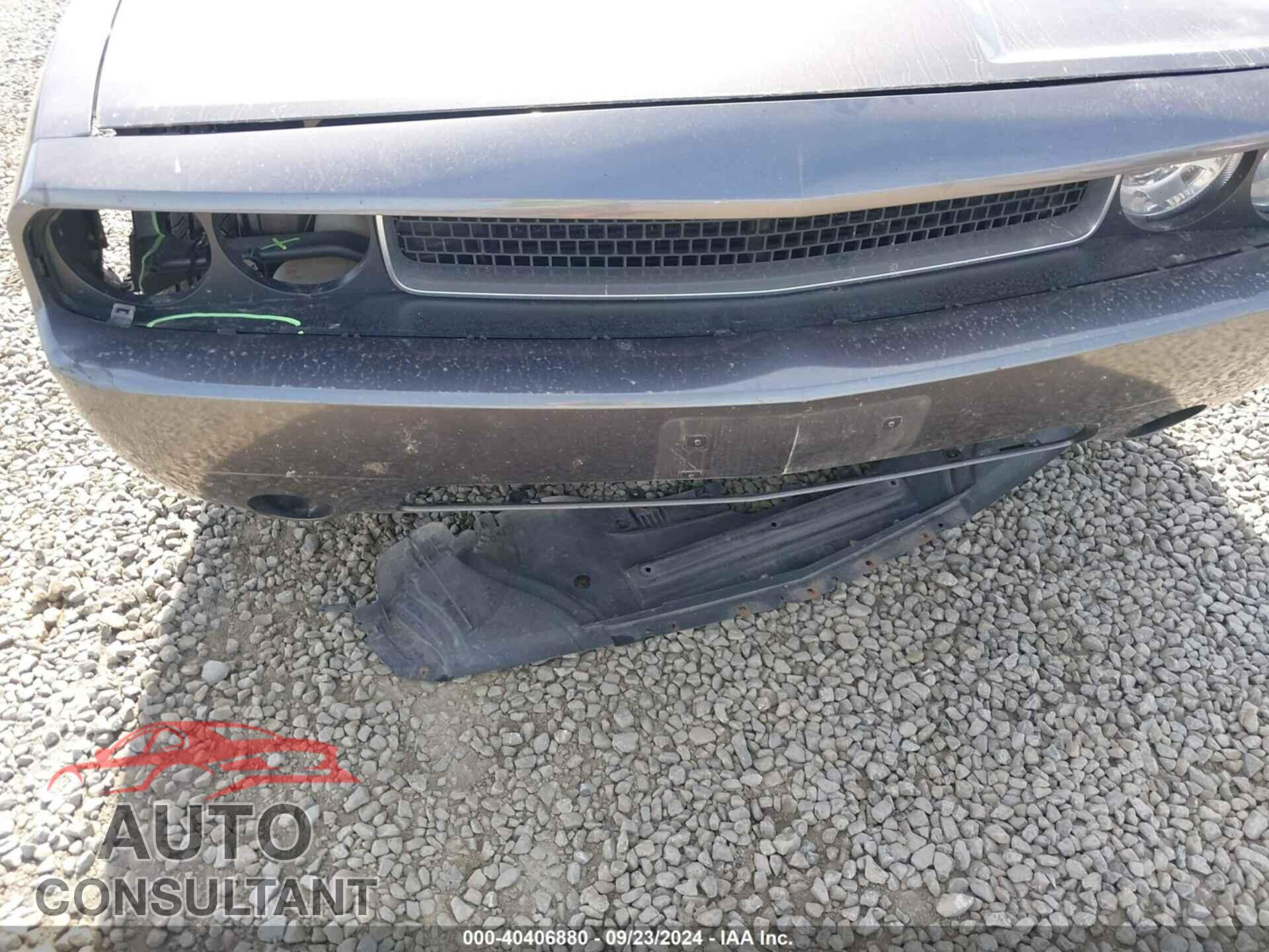 DODGE CHALLENGER 2013 - 2C3CDYAG2DH695308