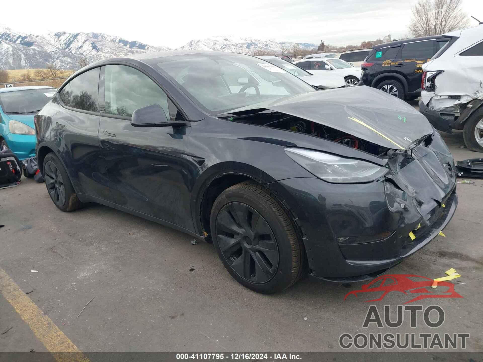 TESLA MODEL Y 2024 - 7SAYGAEE8RF210386