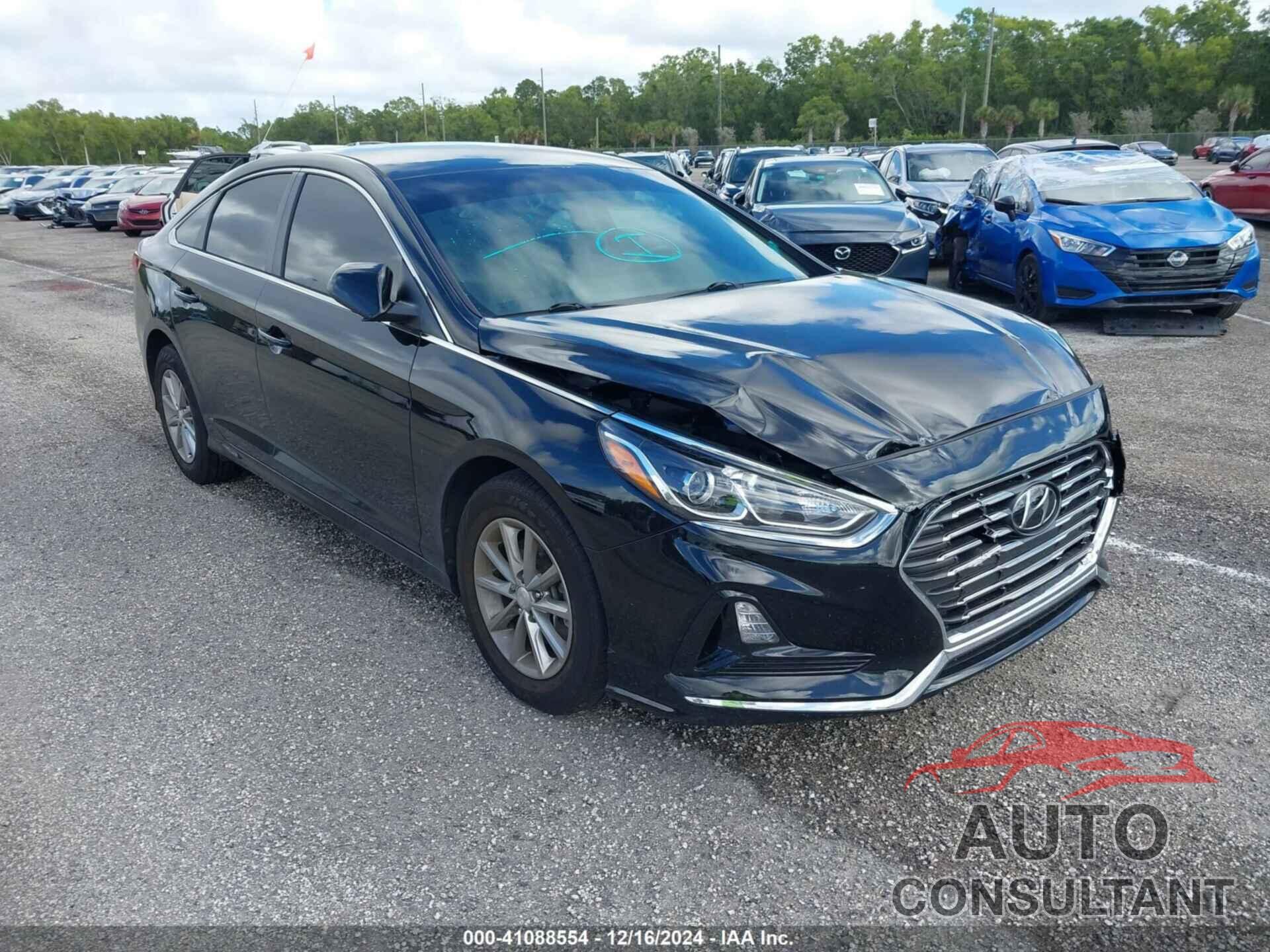 HYUNDAI SONATA 2019 - 5NPE24AF4KH817634