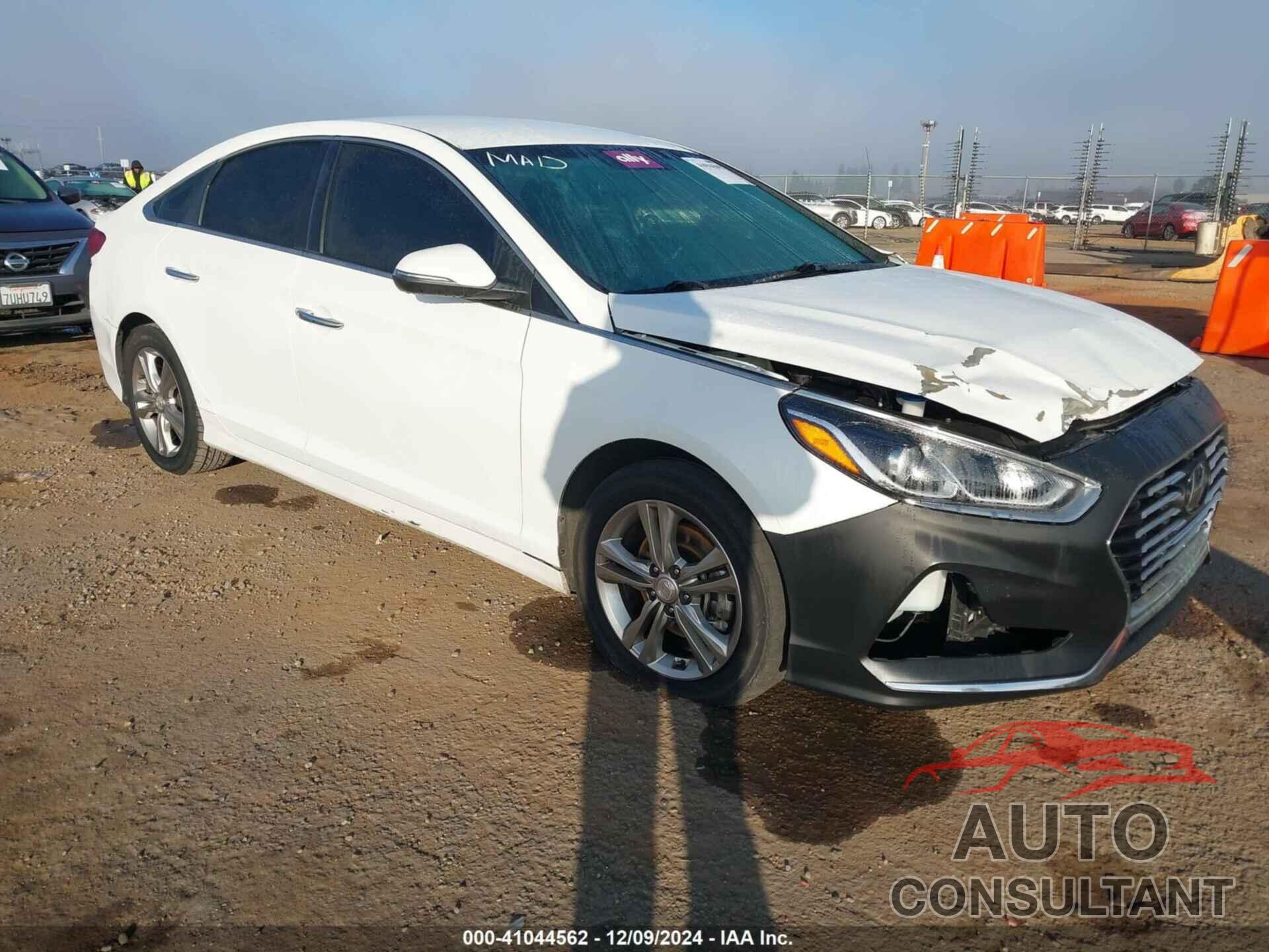 HYUNDAI SONATA 2019 - 5NPE34AF4KH783689
