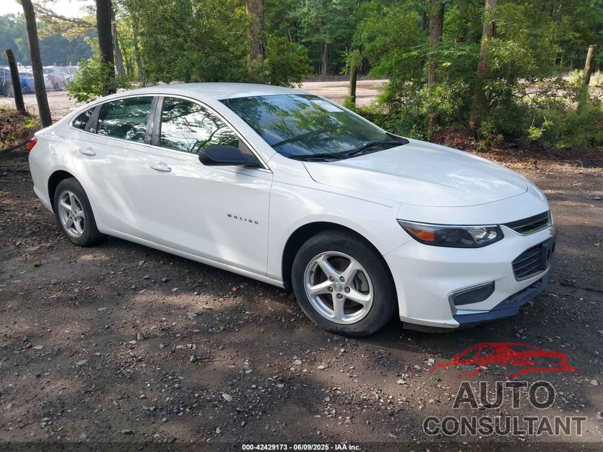 CHEVROLET MALIBU 2016 - 1G1ZB5STXGF254708