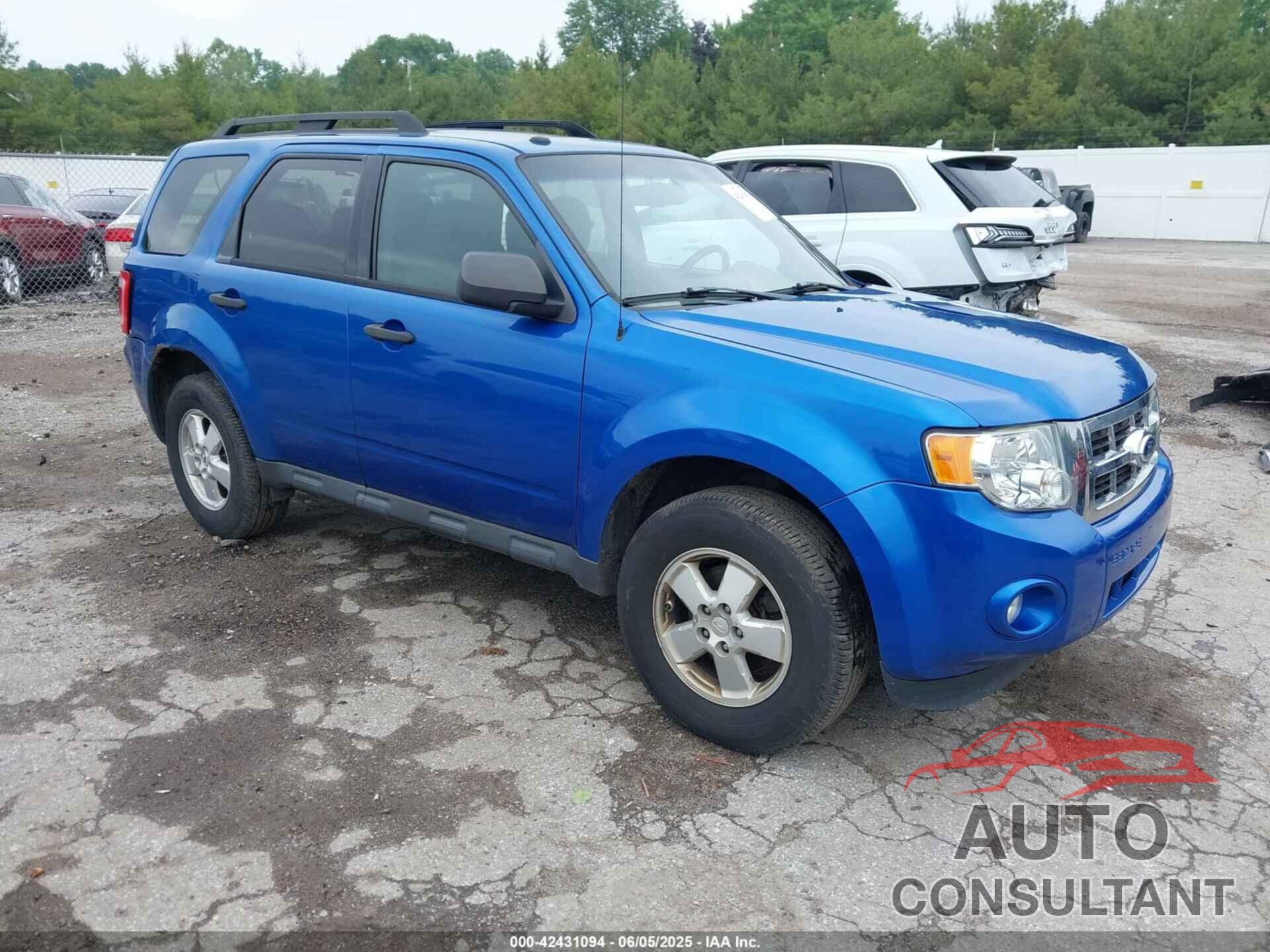 FORD ESCAPE 2011 - 1FMCU0D73BKC09244