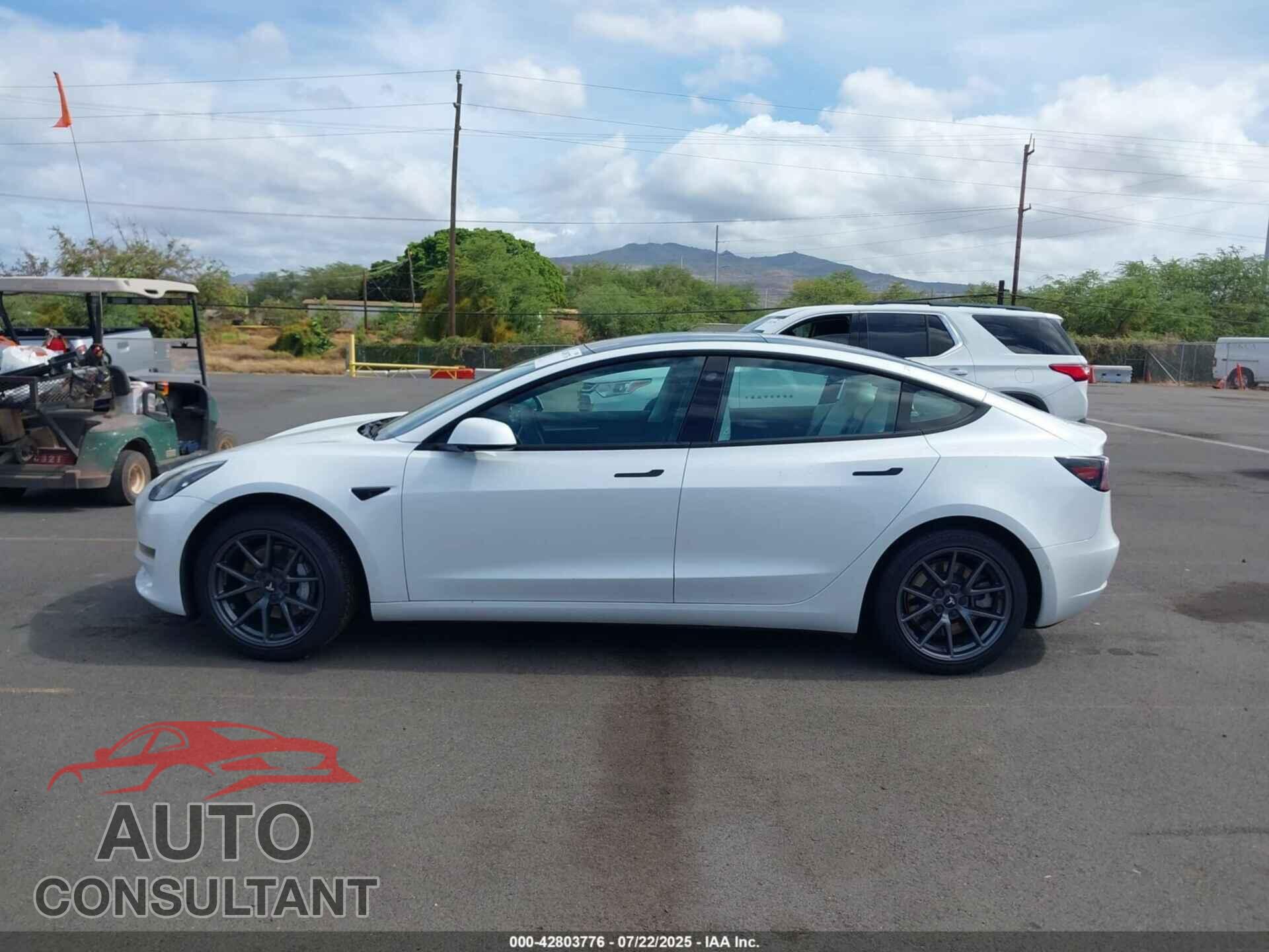TESLA MODEL 3 2021 - 5YJ3E1EA2MF100789