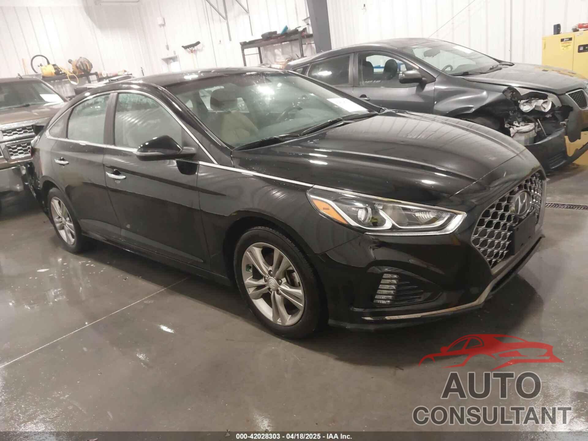 HYUNDAI SONATA 2019 - 5NPE34AF1KH817247