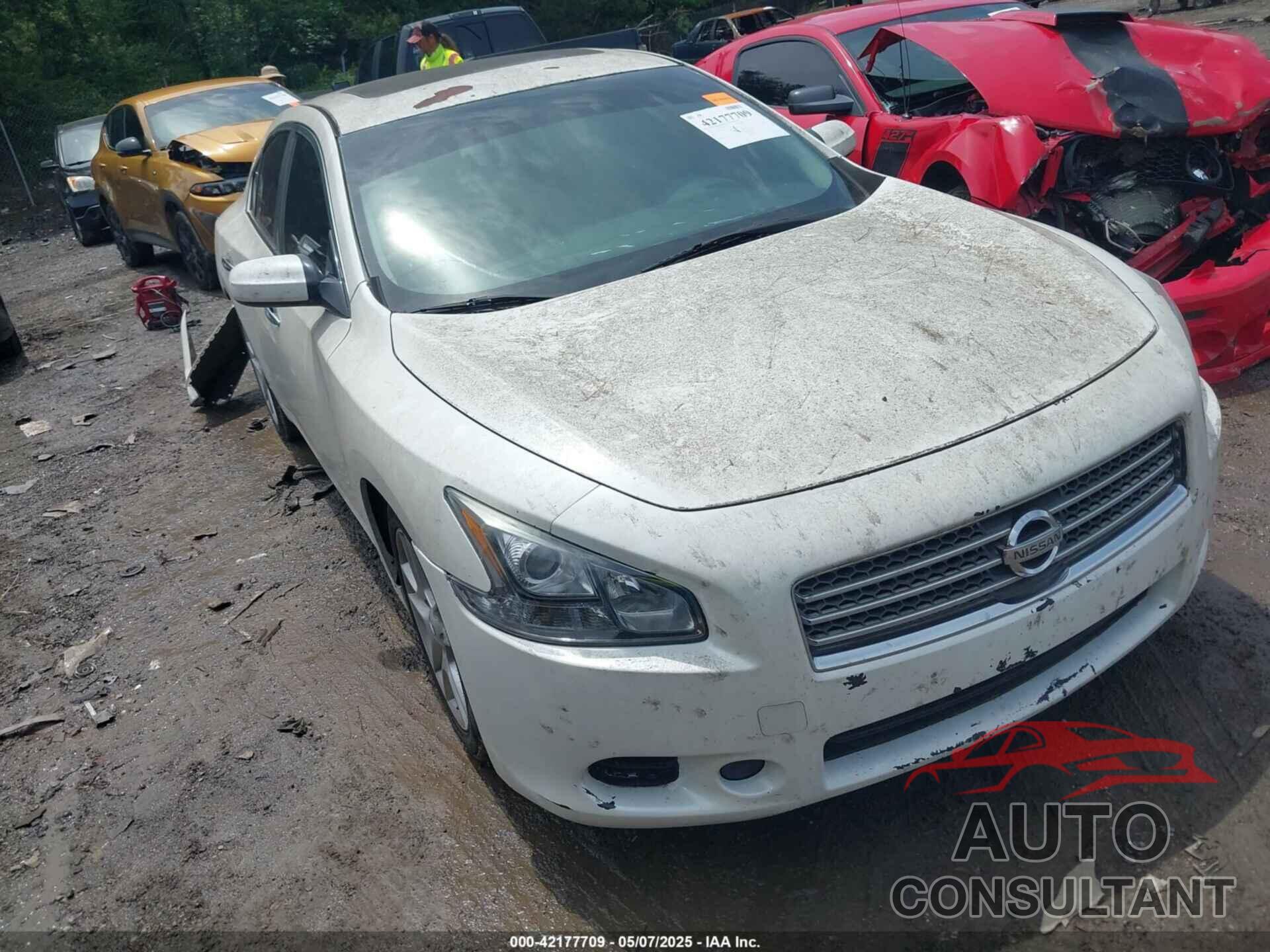 NISSAN MAXIMA 2009 - 1N4AA51E59C841211