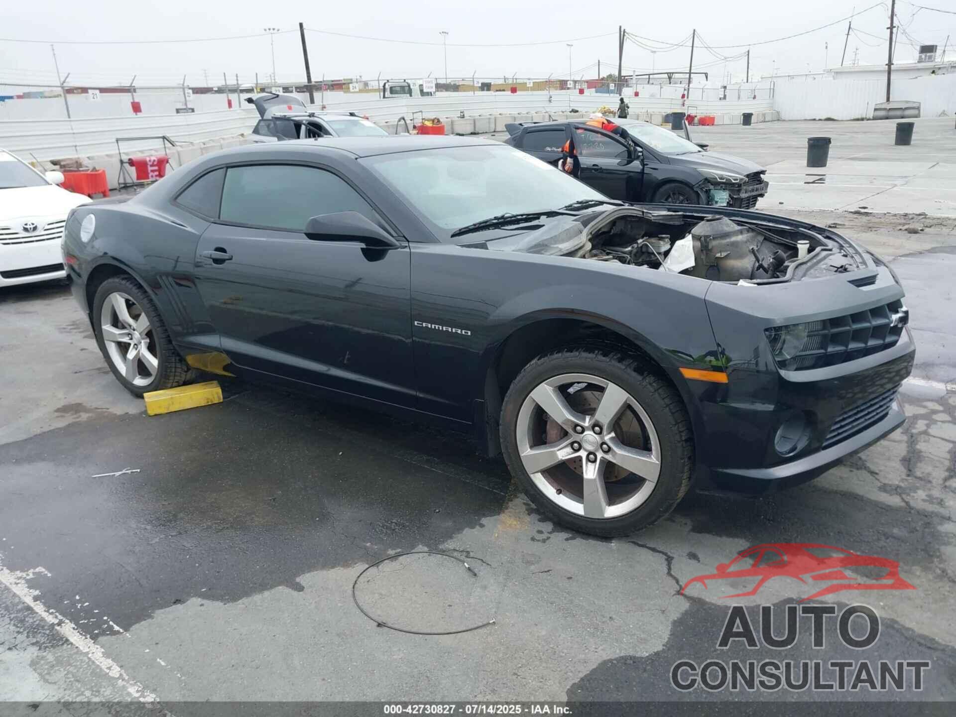 CHEVROLET CAMARO 2010 - 2G1FK1EJ6A9180841