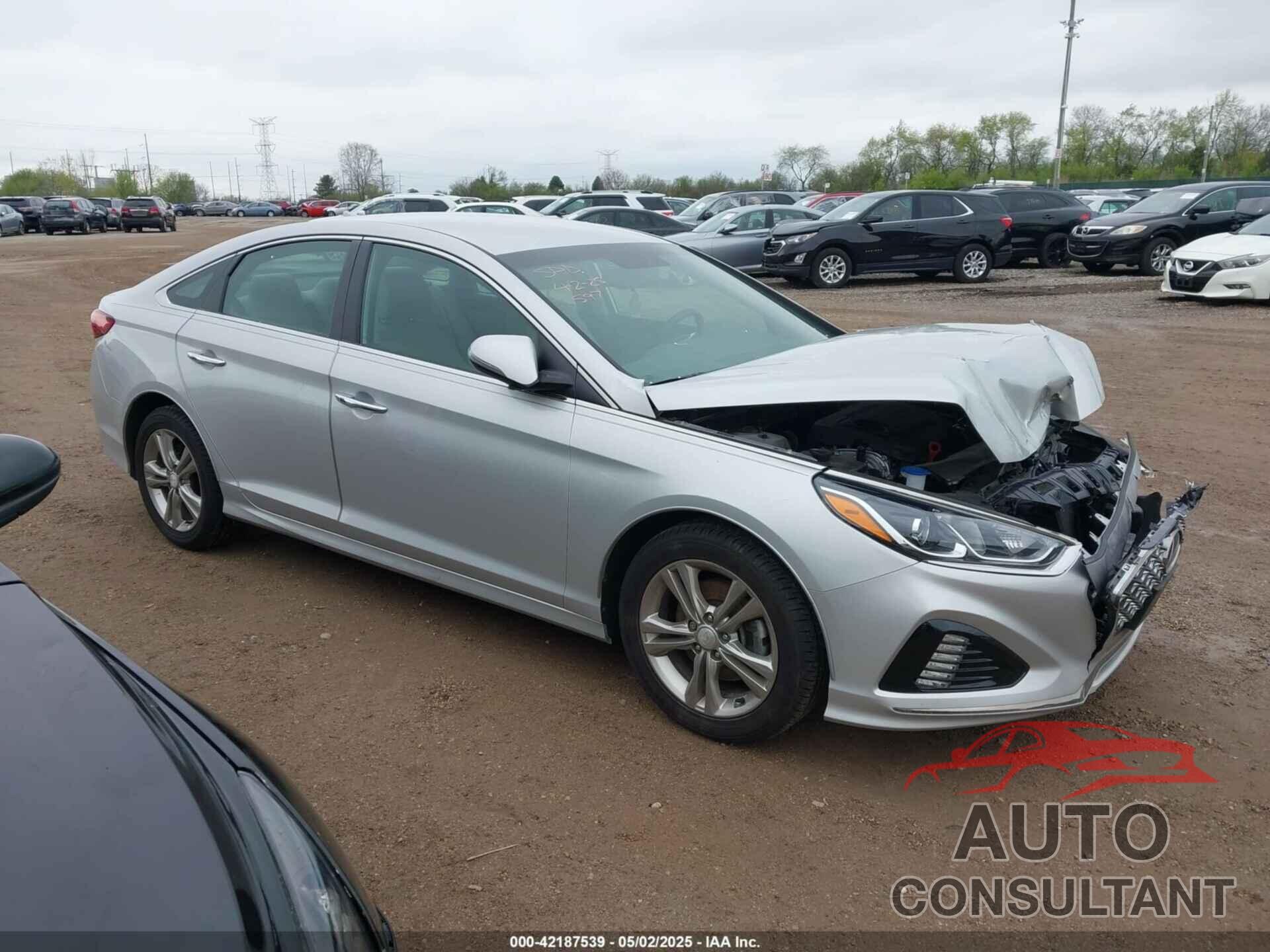 HYUNDAI SONATA 2019 - 5NPE34AF3KH753809