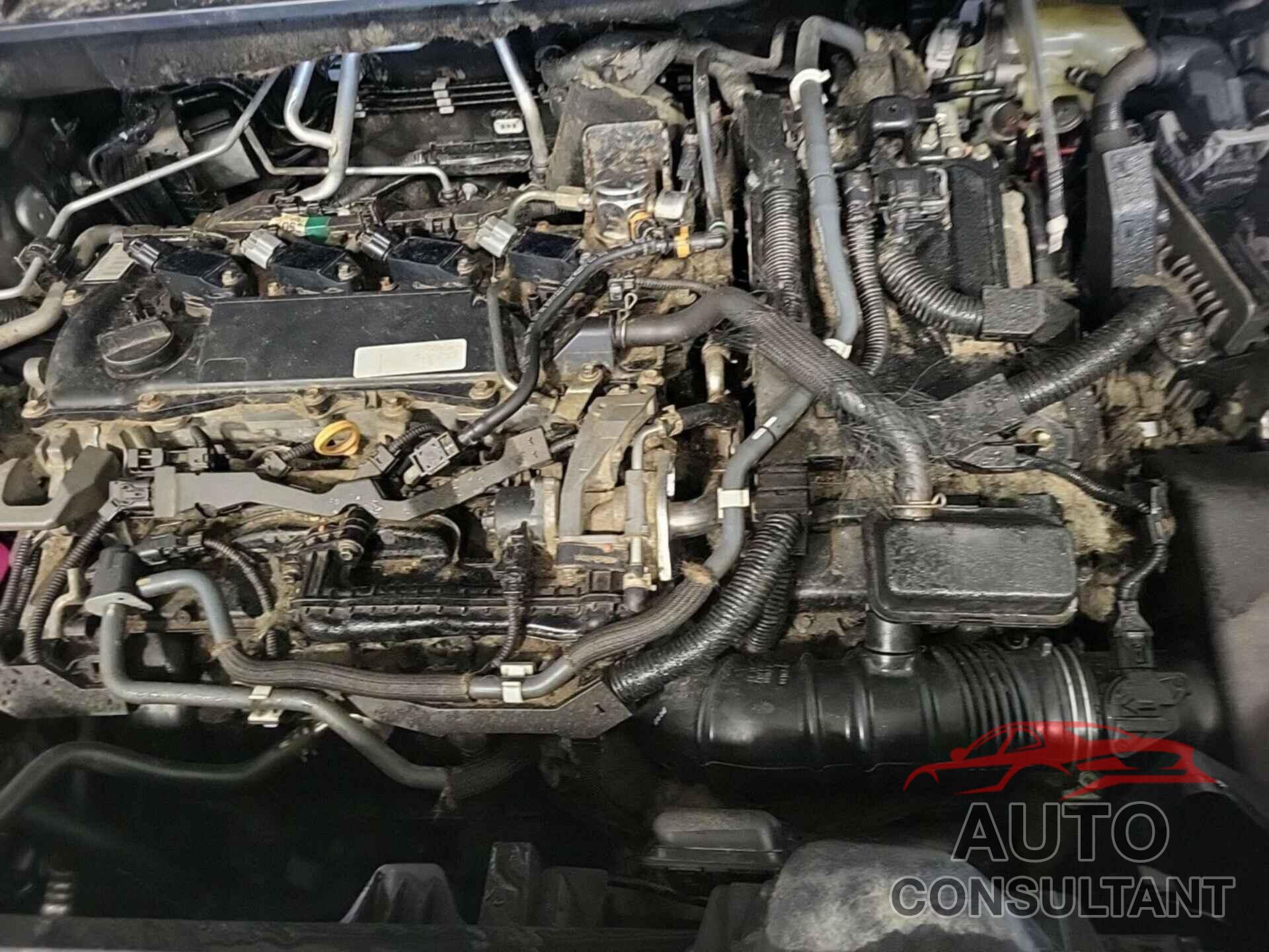 TOYOTA HIGHLANDER 2021 - 5TDZARAH3MS009579