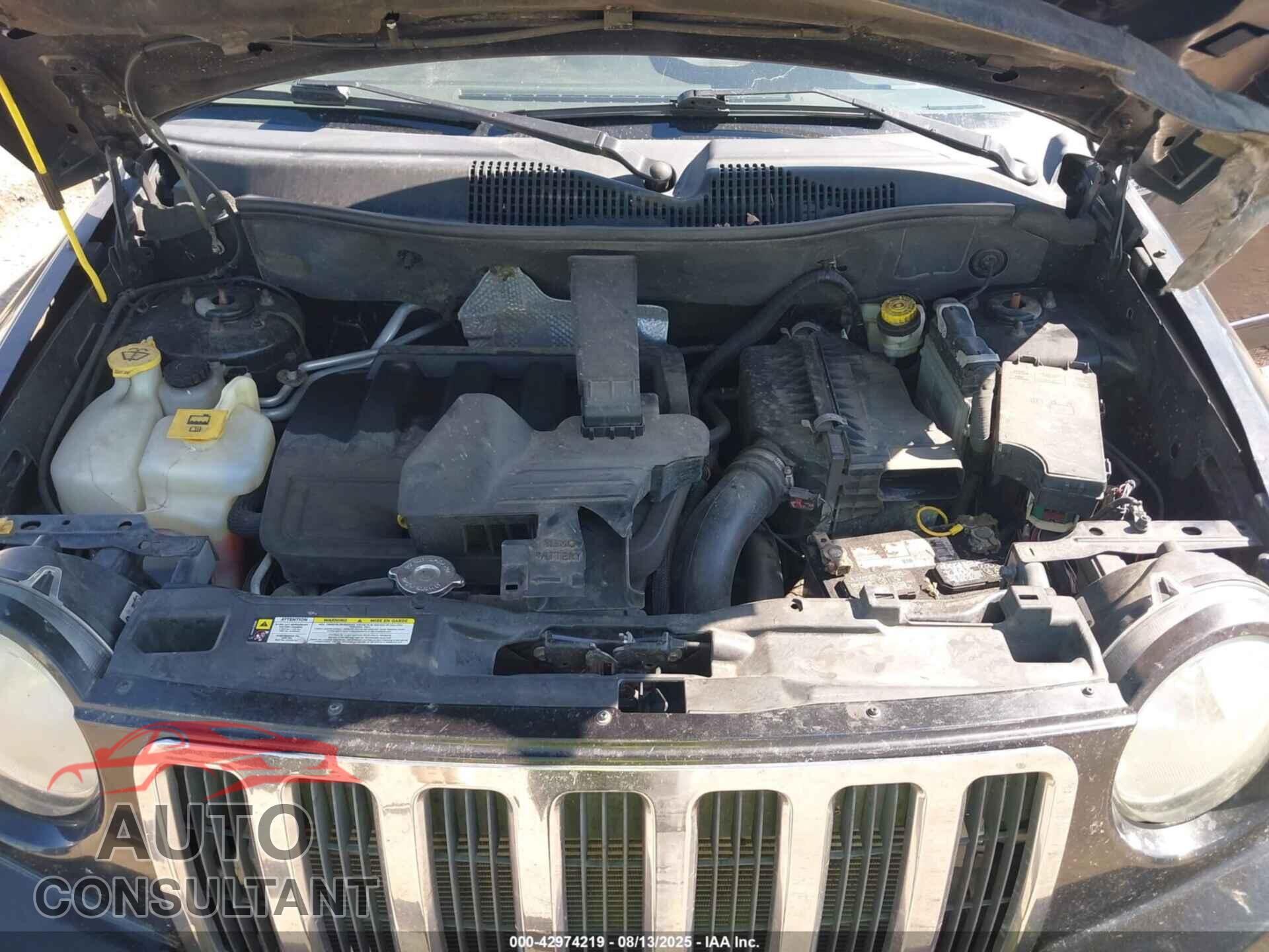 JEEP COMPASS 2009 - 1J4FF47B09D209553