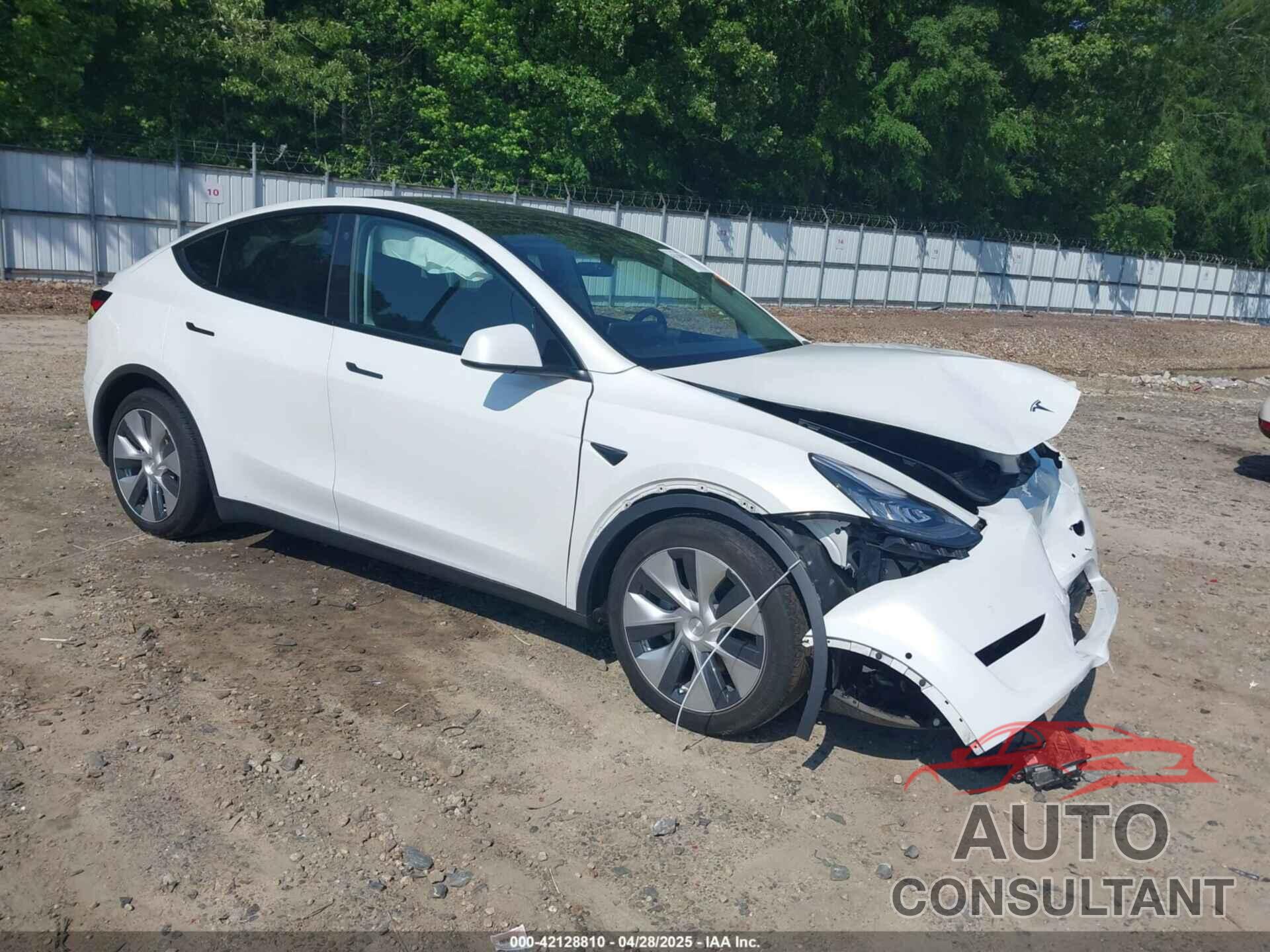TESLA MODEL Y 2021 - 5YJYGDED4MF192824