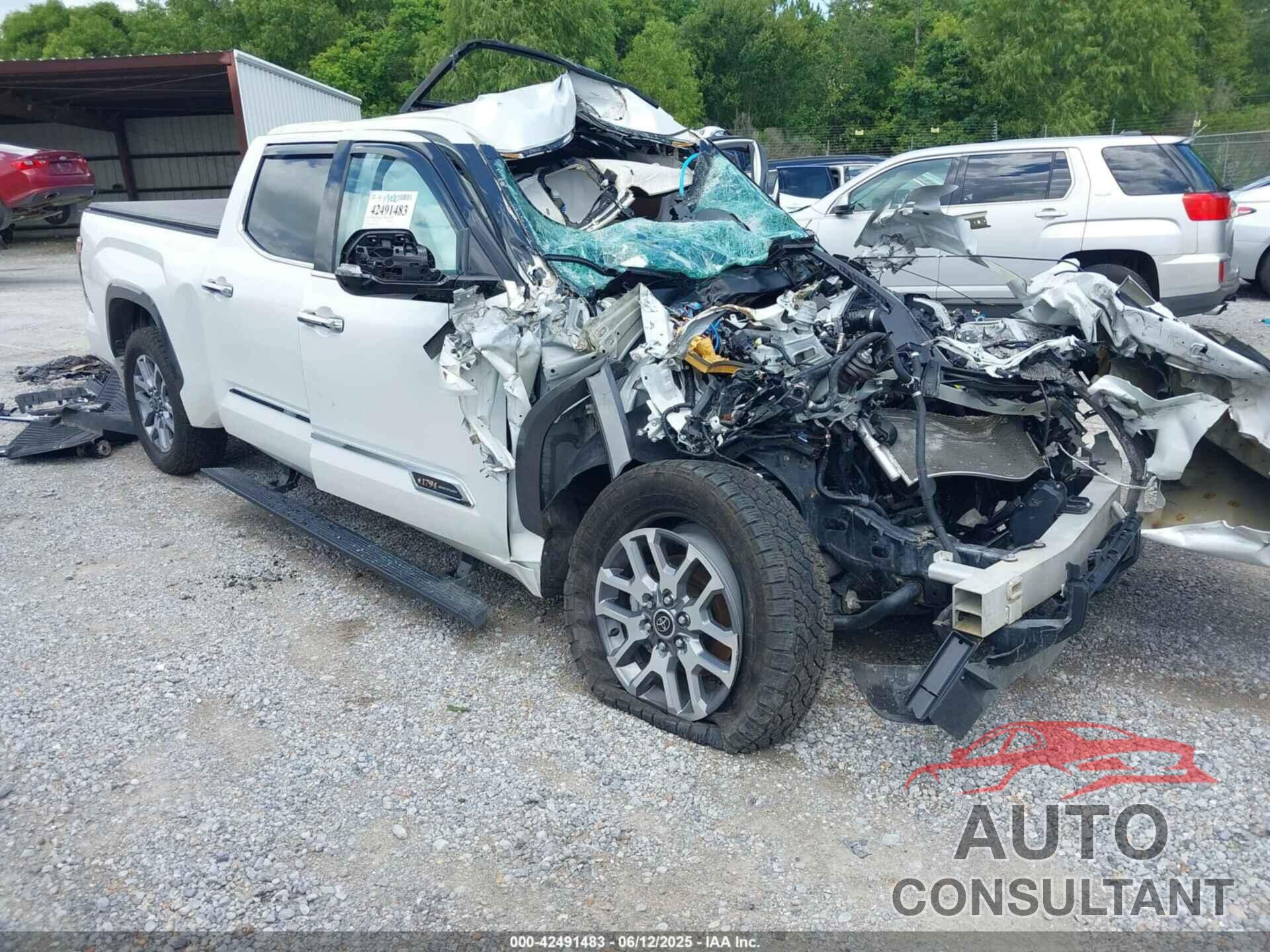TOYOTA TUNDRA 2023 - 5TFMA5EC4PX012961