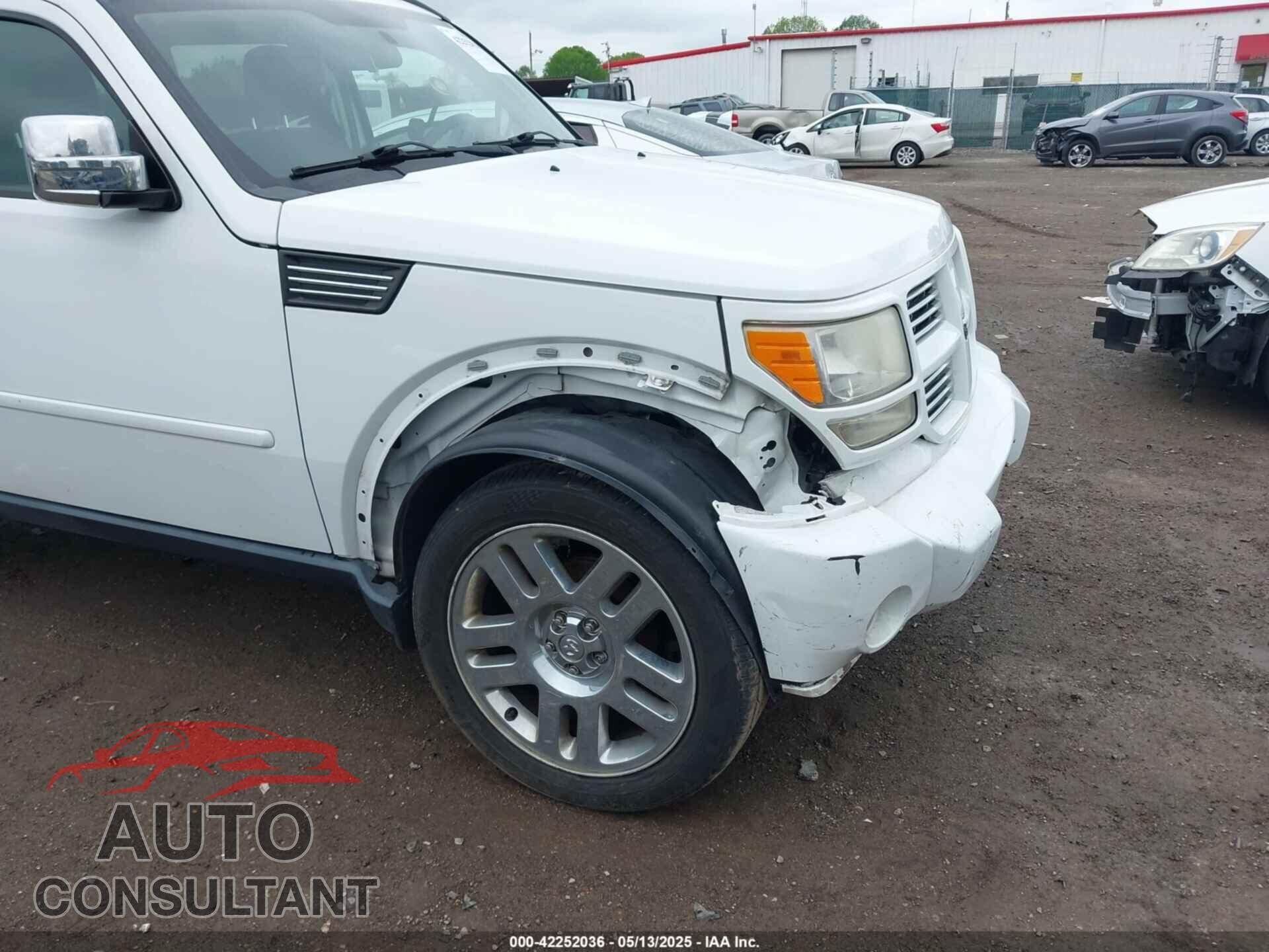 DODGE NITRO 2011 - 1D4PU4GK7BW598432