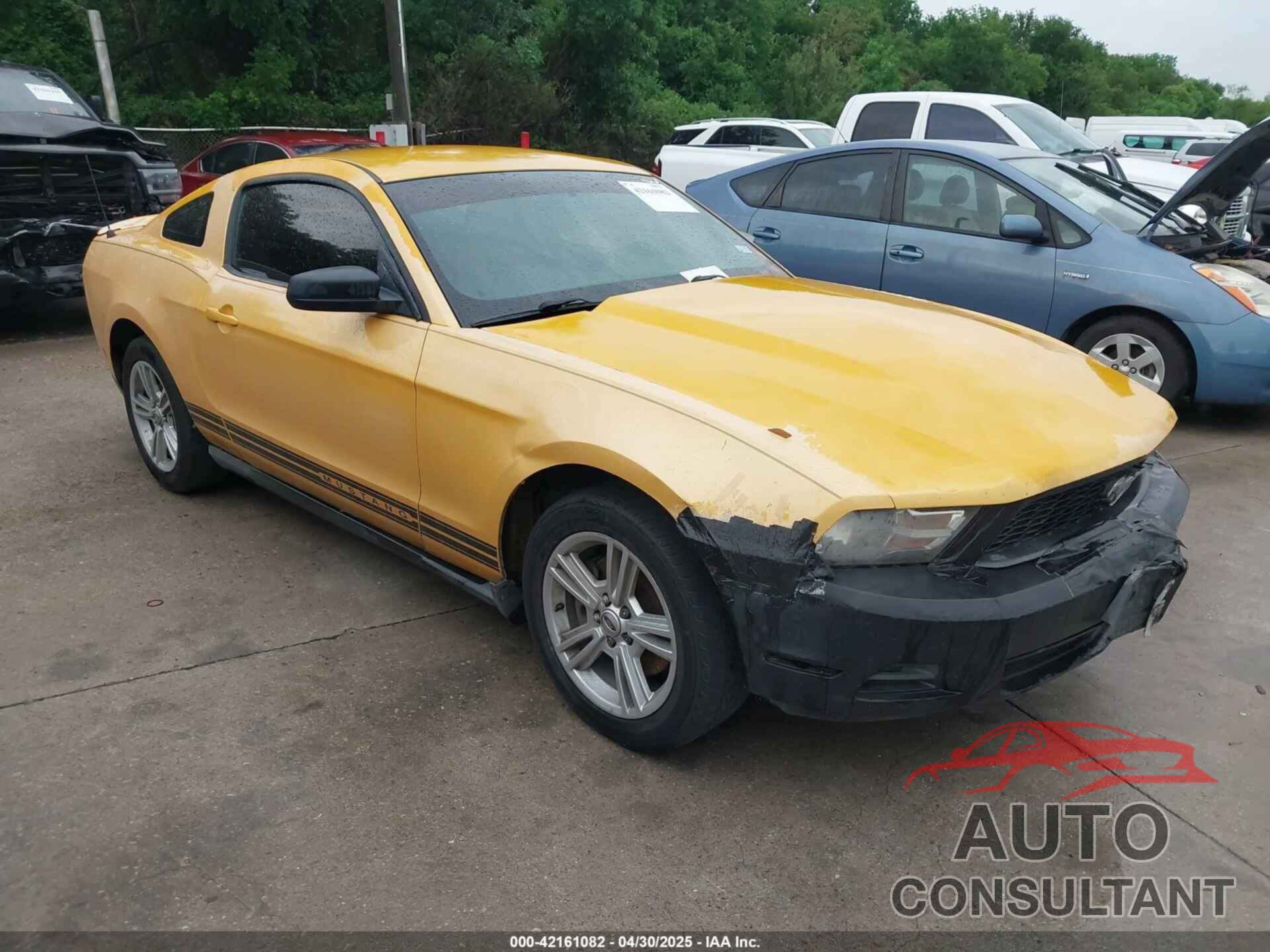FORD MUSTANG 2011 - 1ZVBP8AM5B5154811