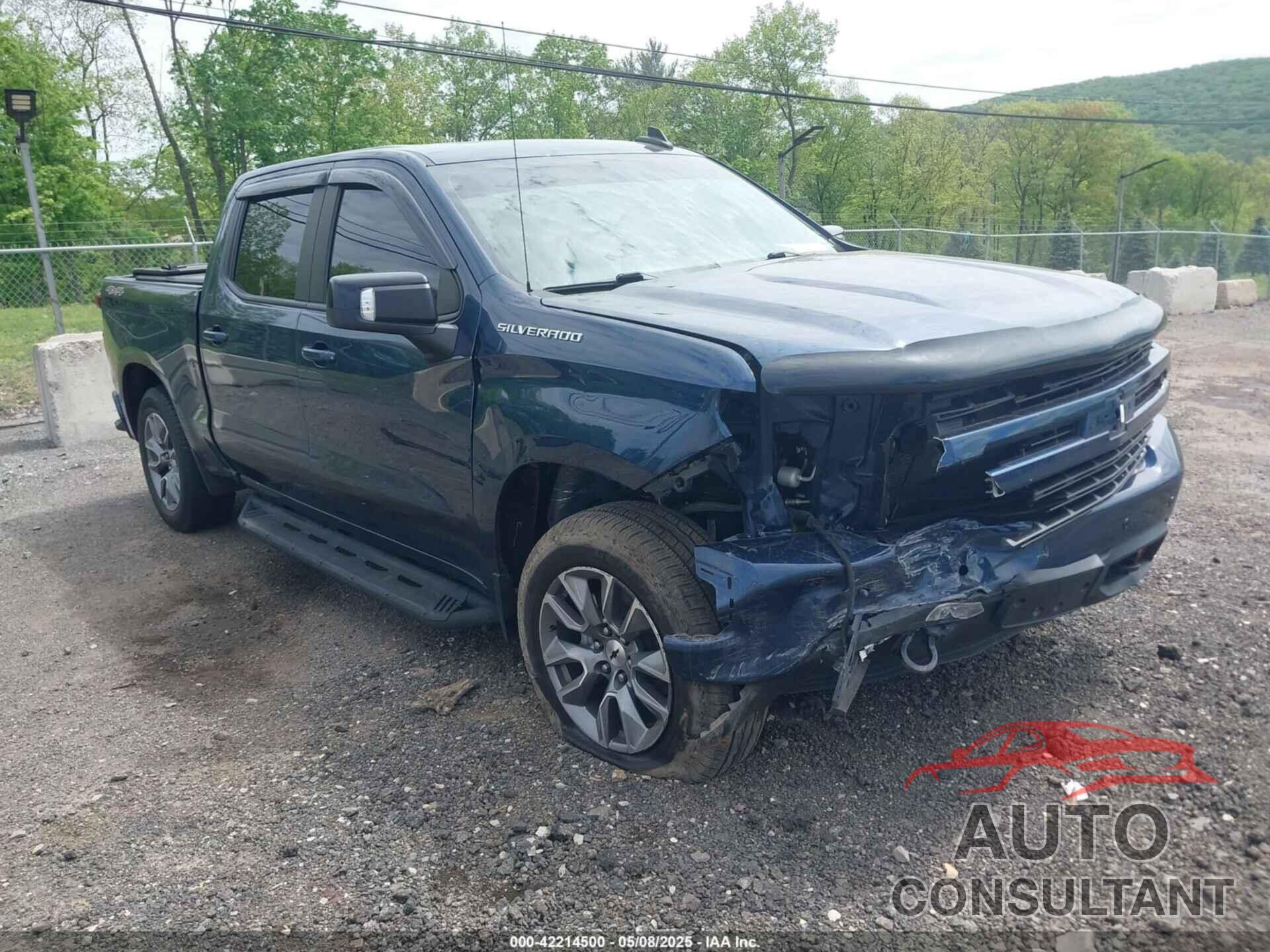 CHEVROLET SILVERADO 1500 2021 - 1GCUYEED6MZ194599