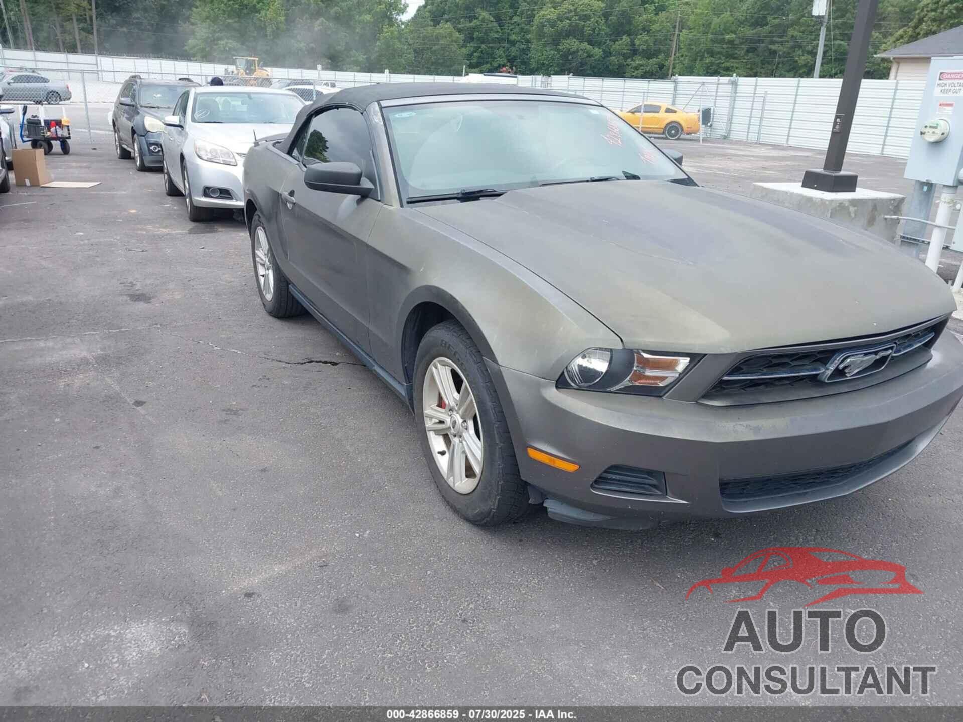 FORD MUSTANG 2011 - 1ZVBP8EM8B5161584