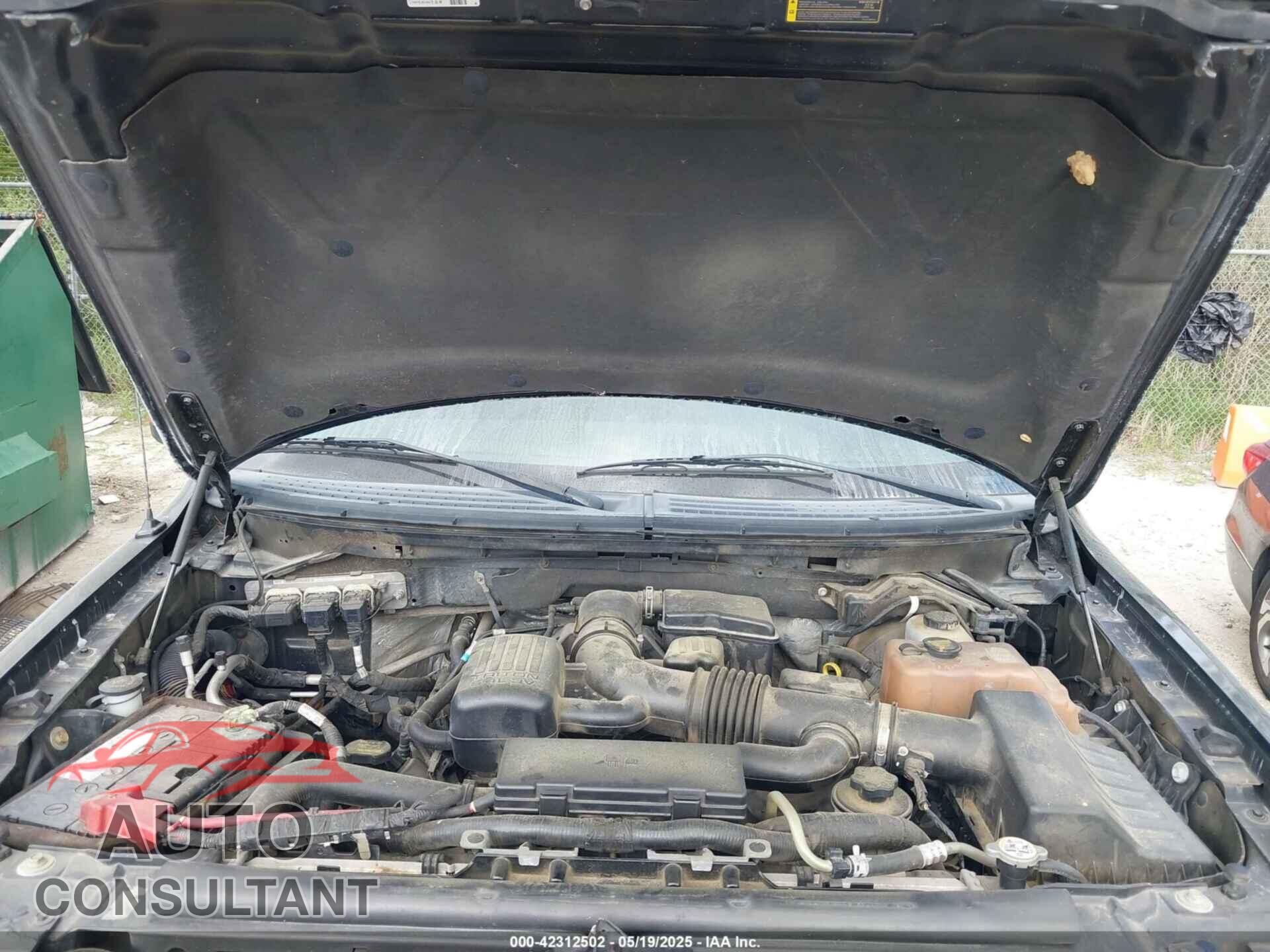 FORD F-150 2010 - 1FTFW1EV9AKC19273