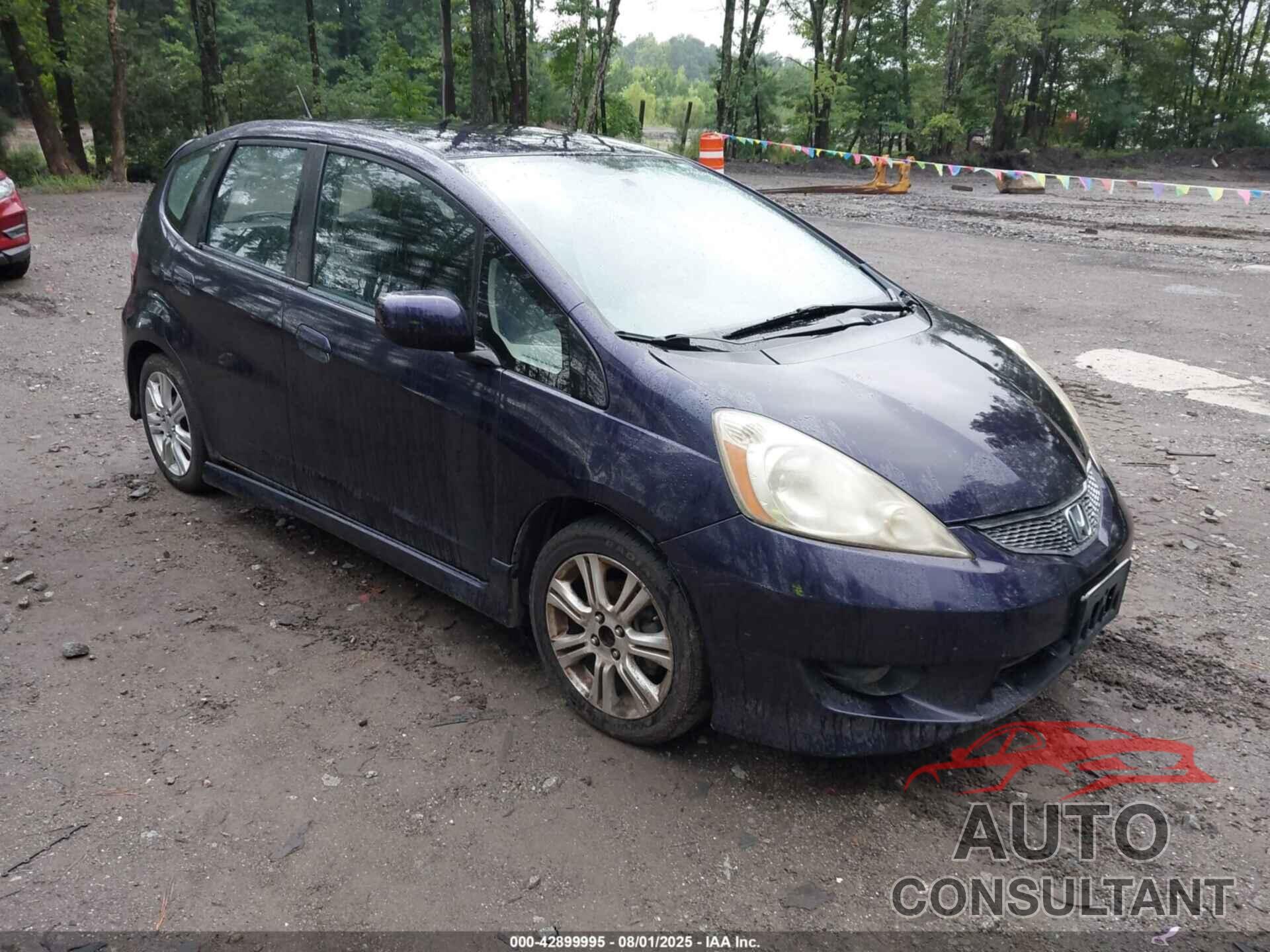 HONDA FIT 2010 - JHMGE8H41AC030774