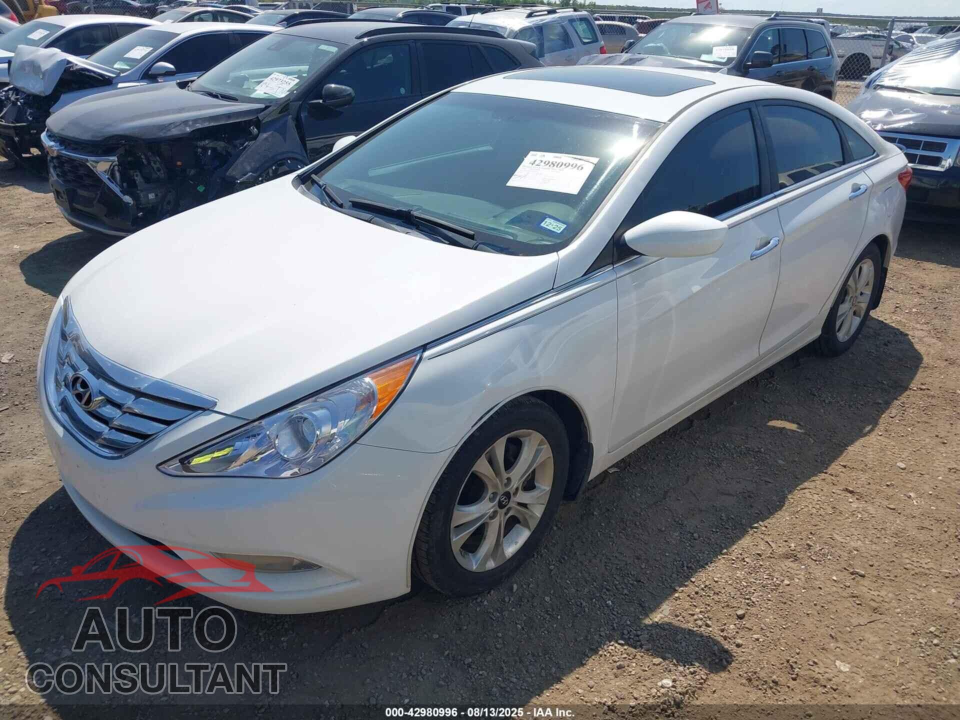 HYUNDAI SONATA 2012 - 5NPEC4AC8CH362551
