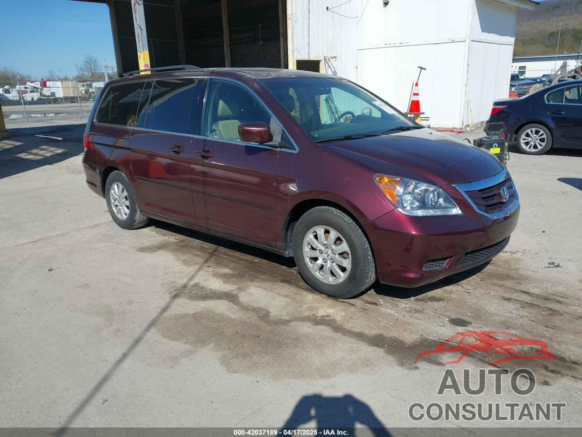 HONDA ODYSSEY 2009 - 5FNRL38619B040594