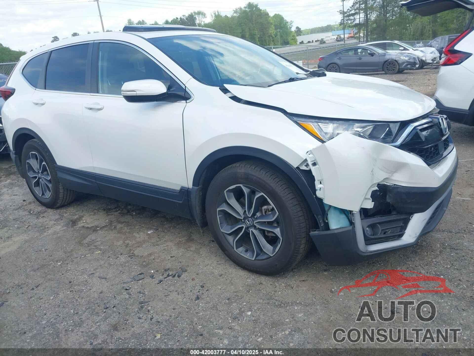 HONDA CR-V 2021 - 5J6RW1H81ML005289