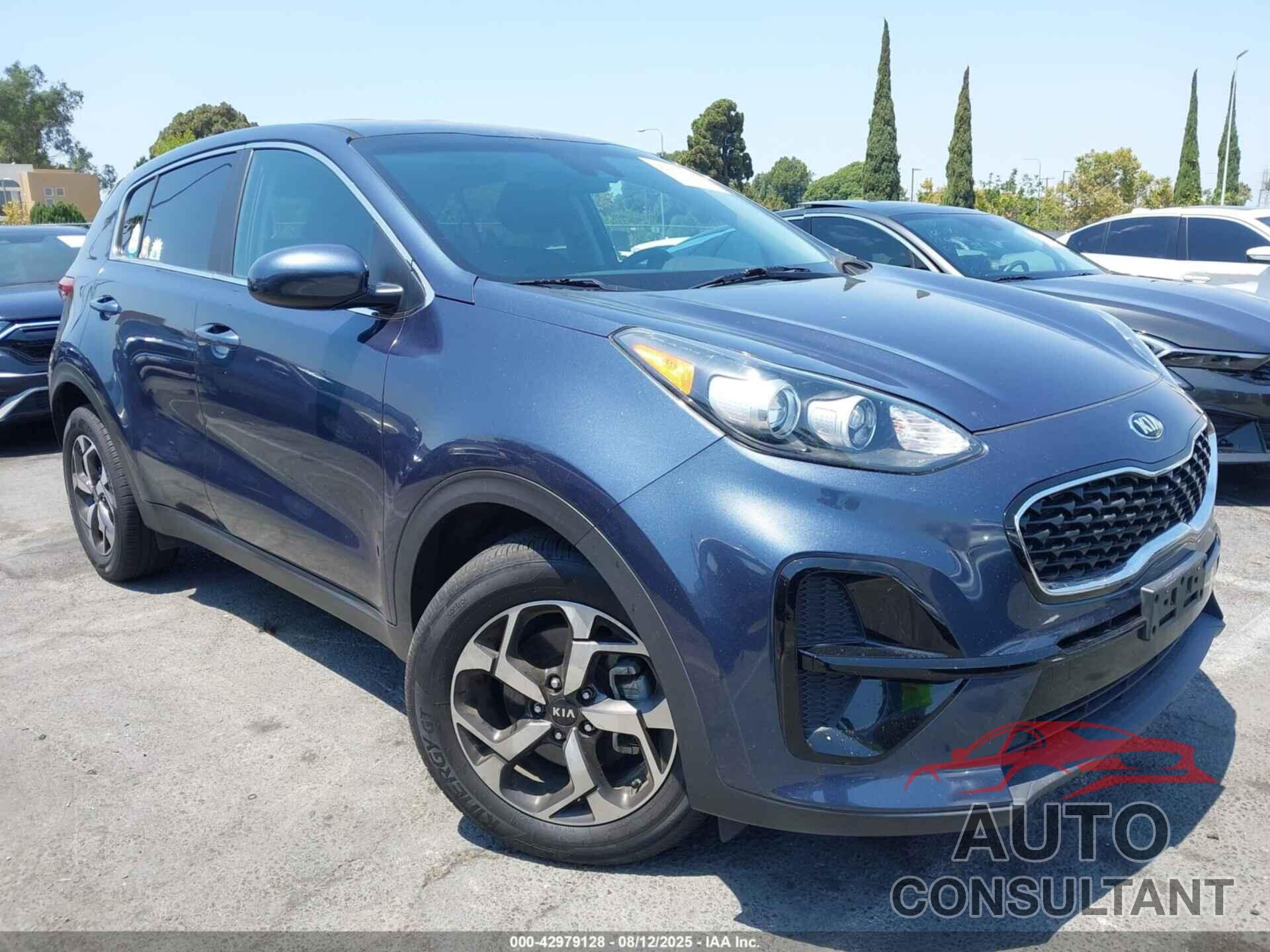 KIA SPORTAGE 2022 - KNDPM3AC8N7958833