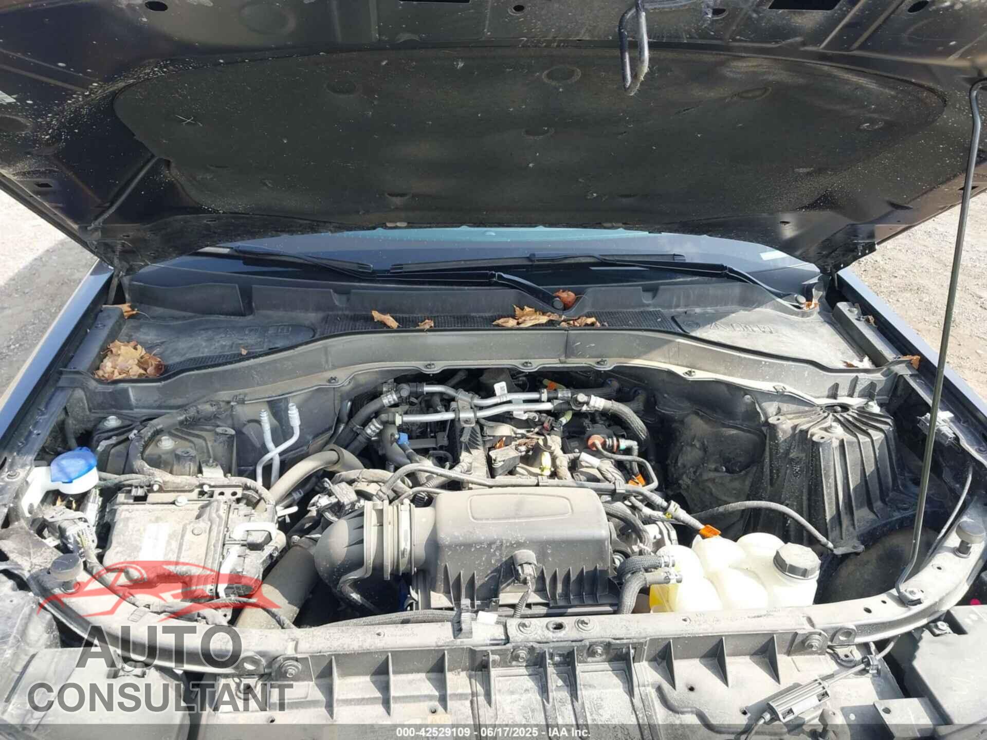 FORD EXPLORER 2023 - 1FMSK8DH4PGB89427