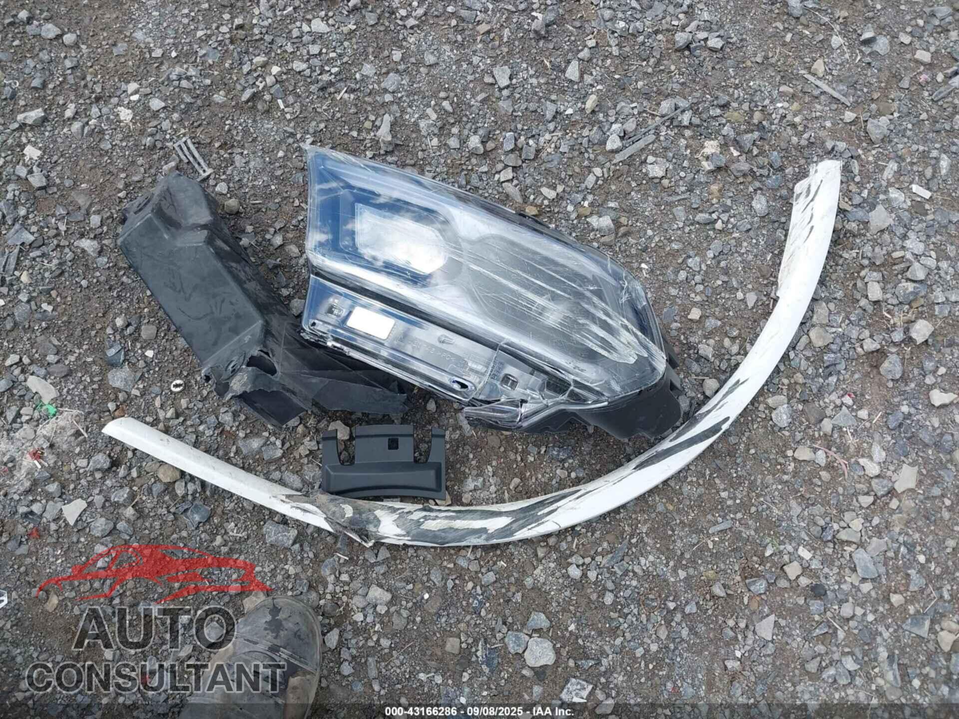 DODGE DURANGO 2021 - 1C4RDJDG4MC558916
