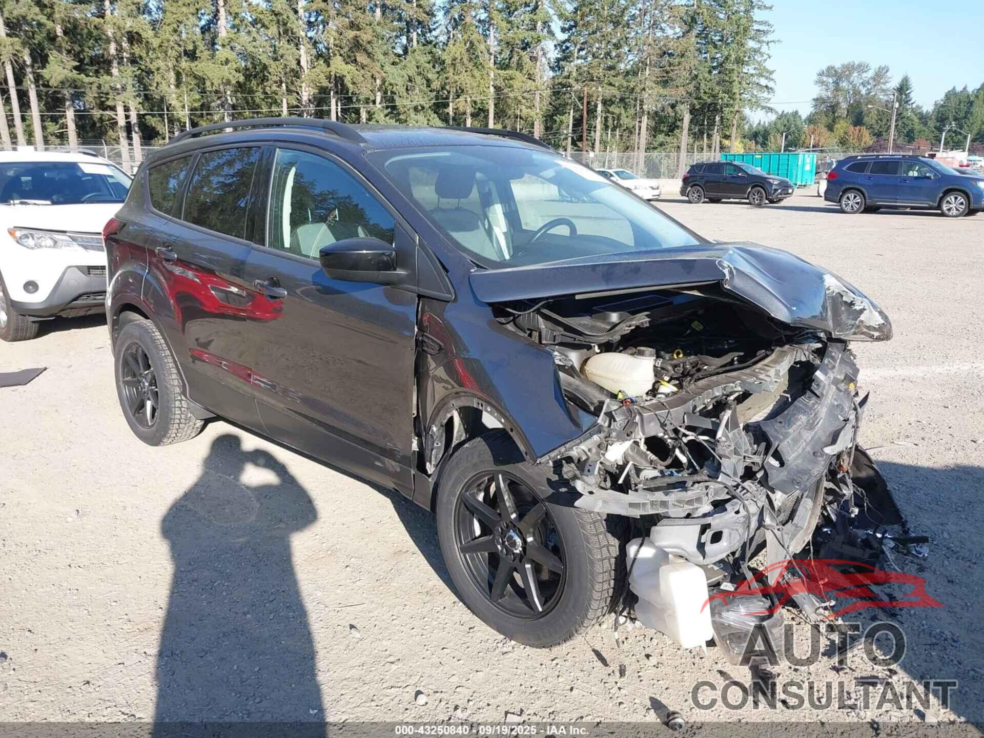 FORD ESCAPE 2019 - 1FMCU9GD9KUB29960