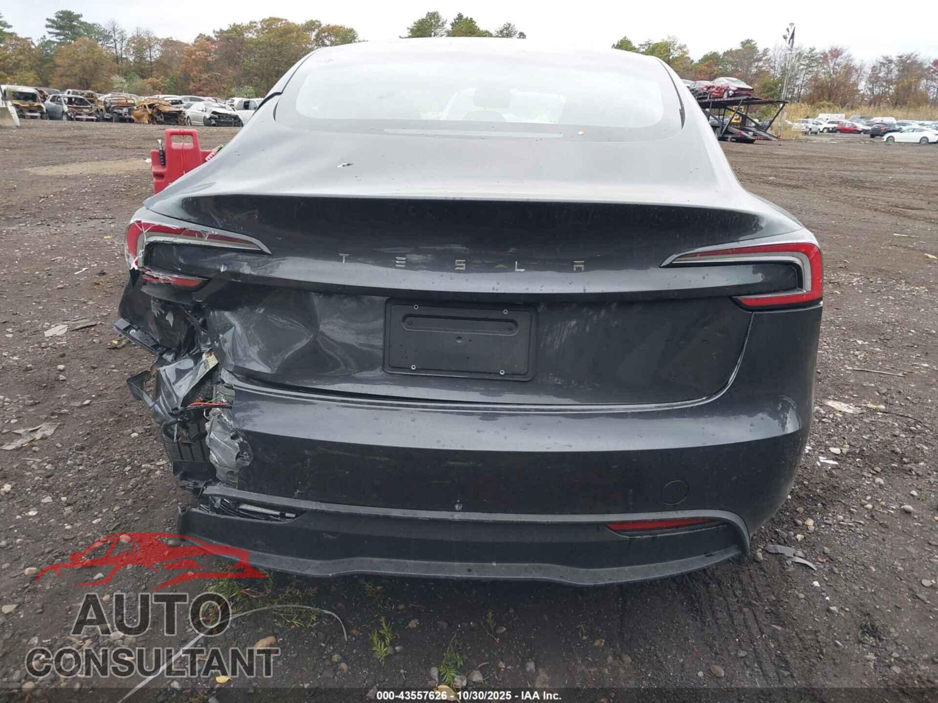 TESLA MODEL 3 2025 - 5YJ3E1EA1SF018761