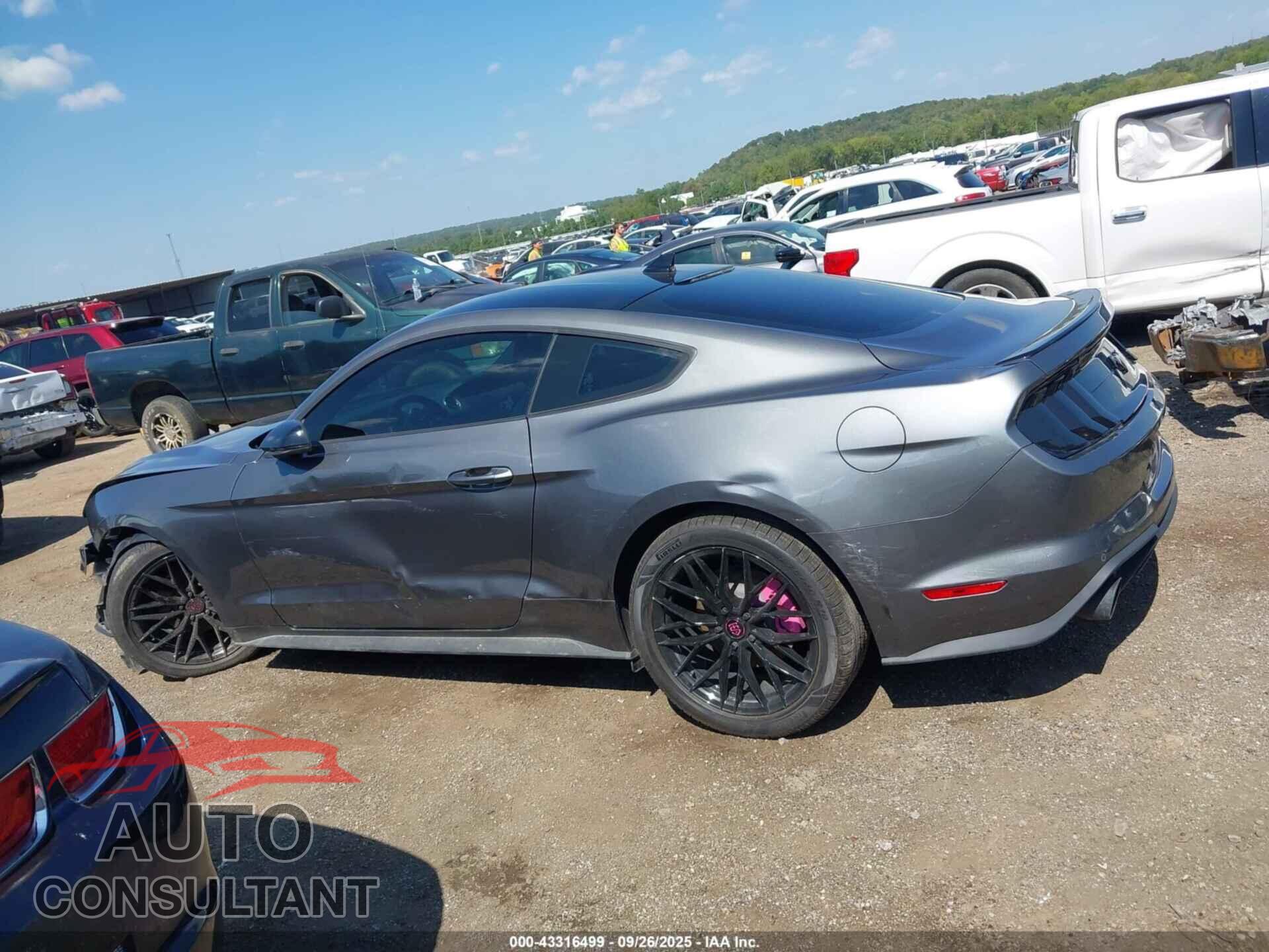 FORD MUSTANG 2023 - 1FA6P8TH9P5113535